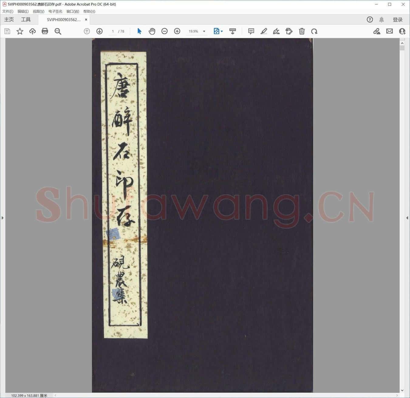 唐醉石印存.pdf