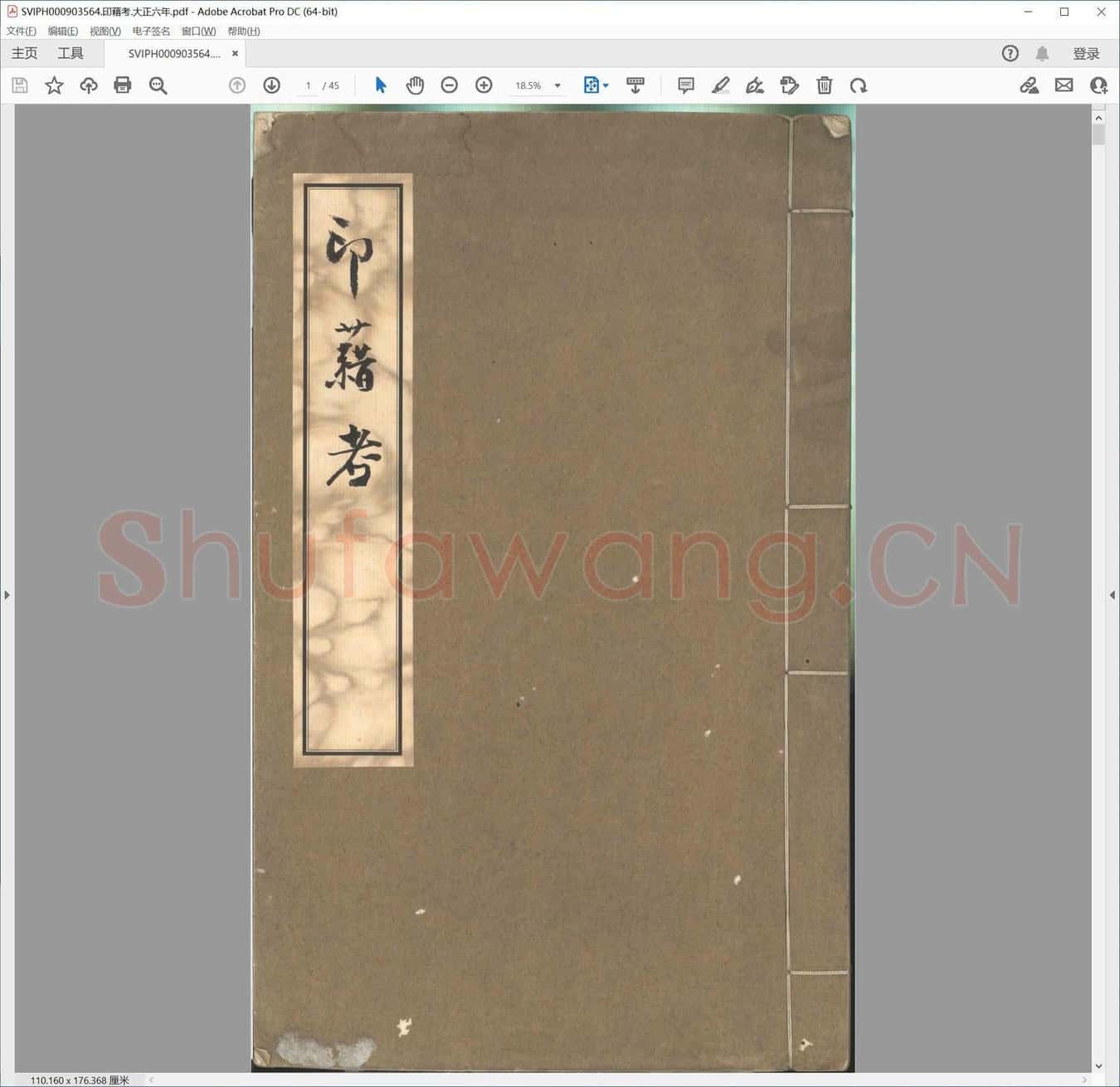 印藉考.大正六年.pdf