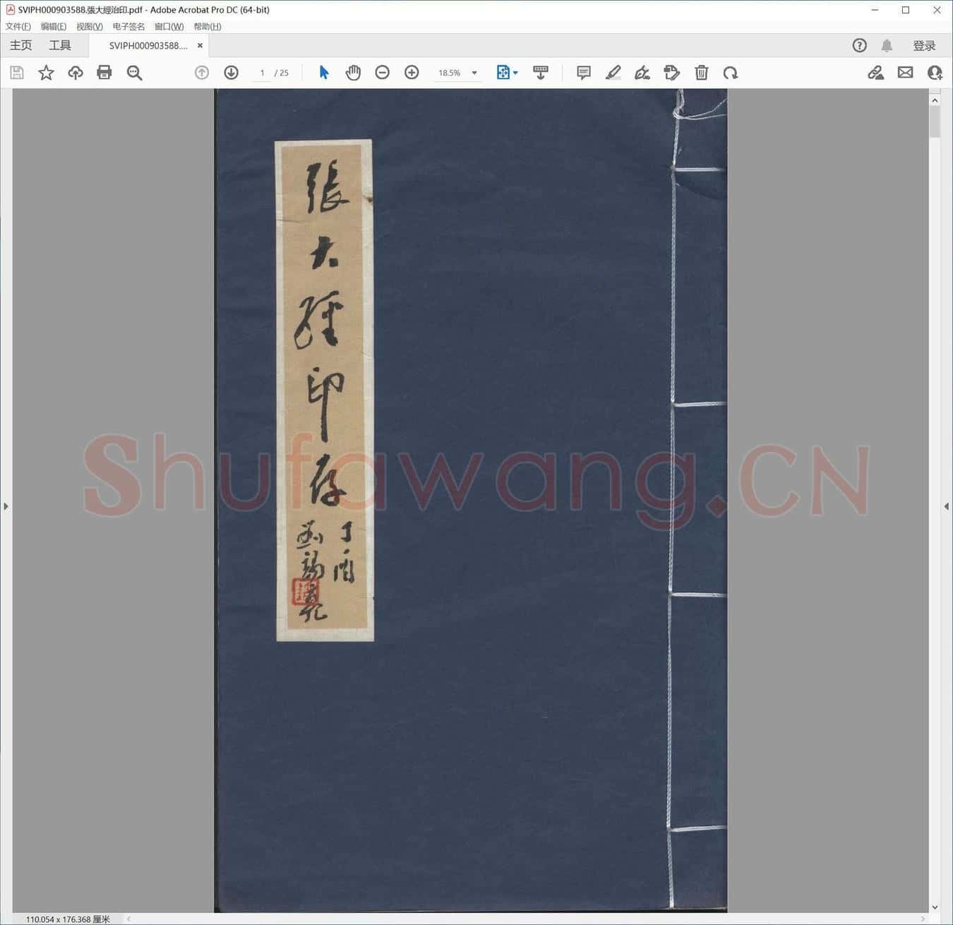张大经治印.pdf