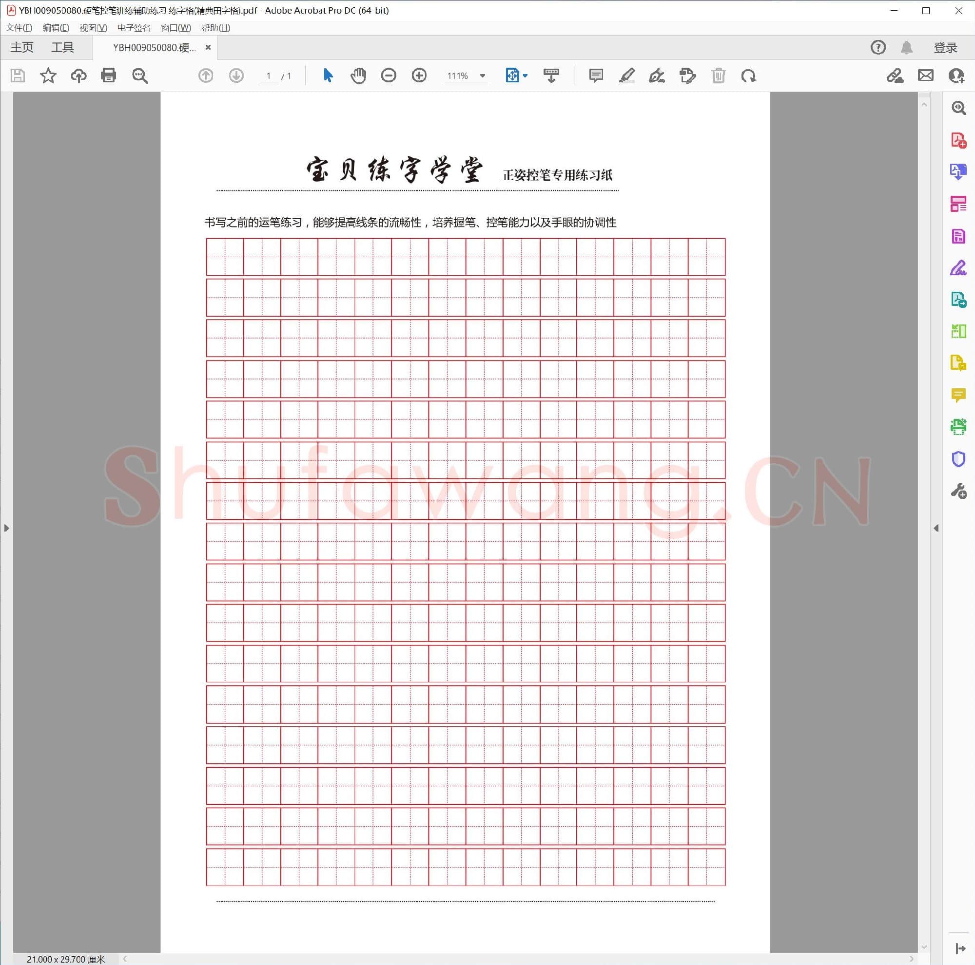 硬笔控笔训练辅助练习 练字格(精典田字格)