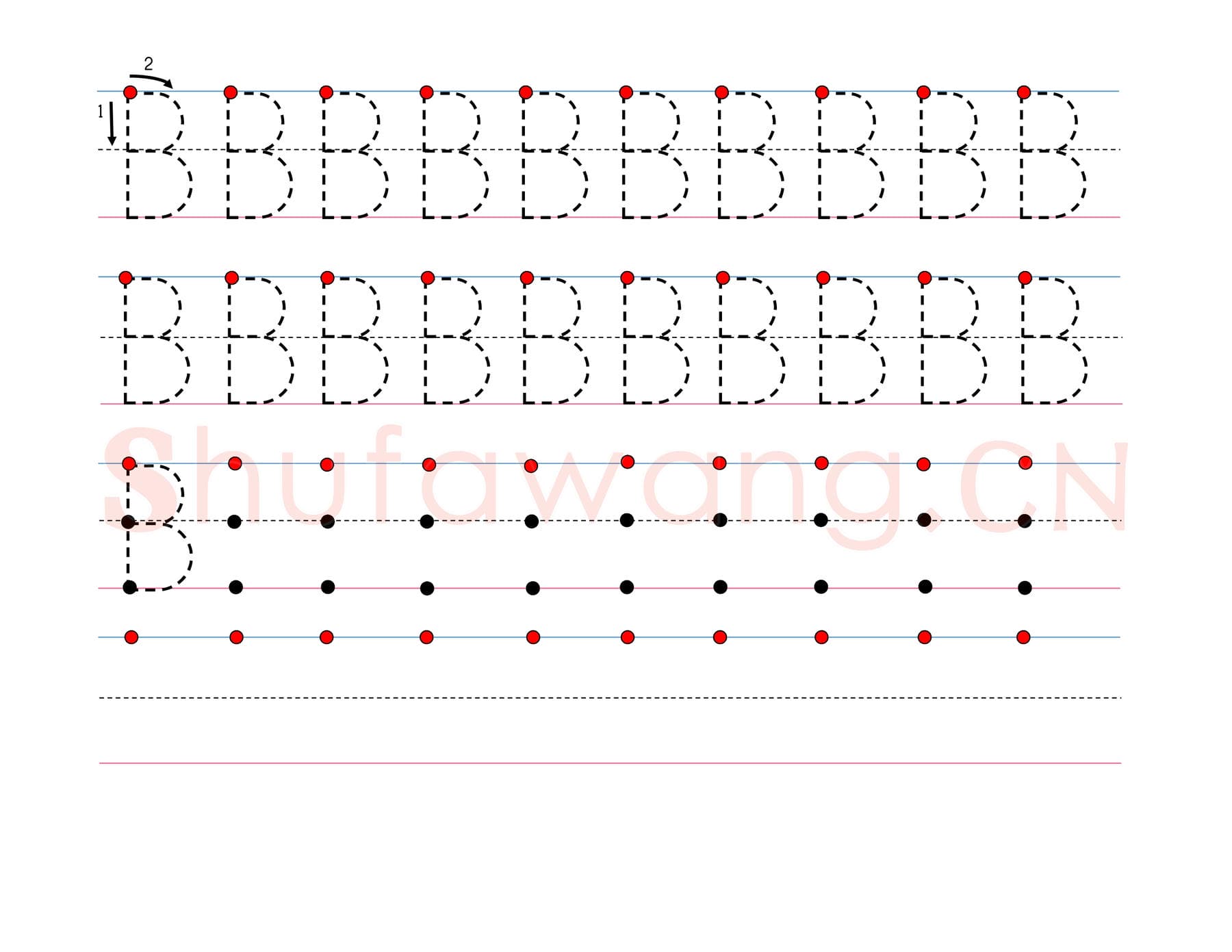 英文字母练习:手写字母专项训练 大写 B.jpg