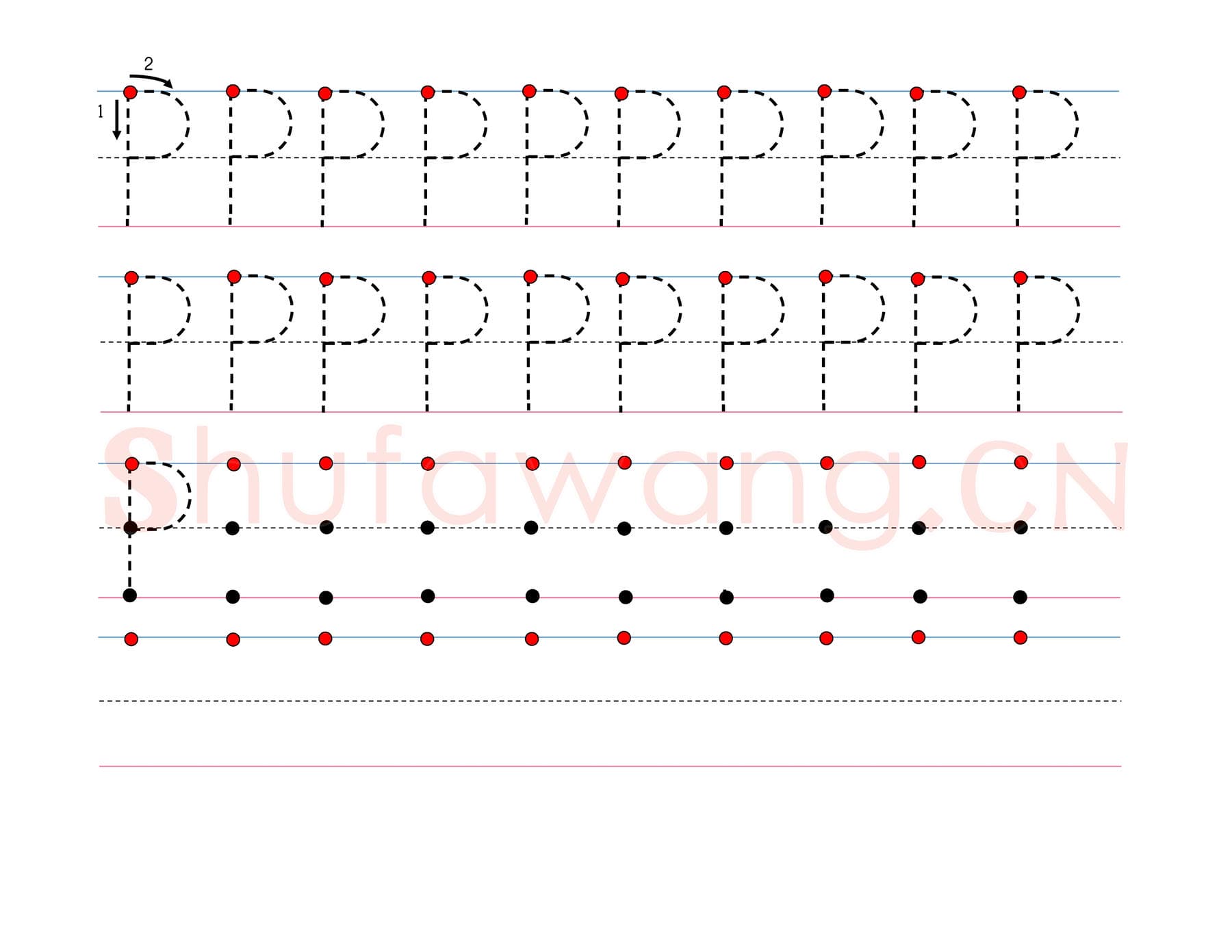 英文字母练习:手写字母专项训练 大写 P.jpg