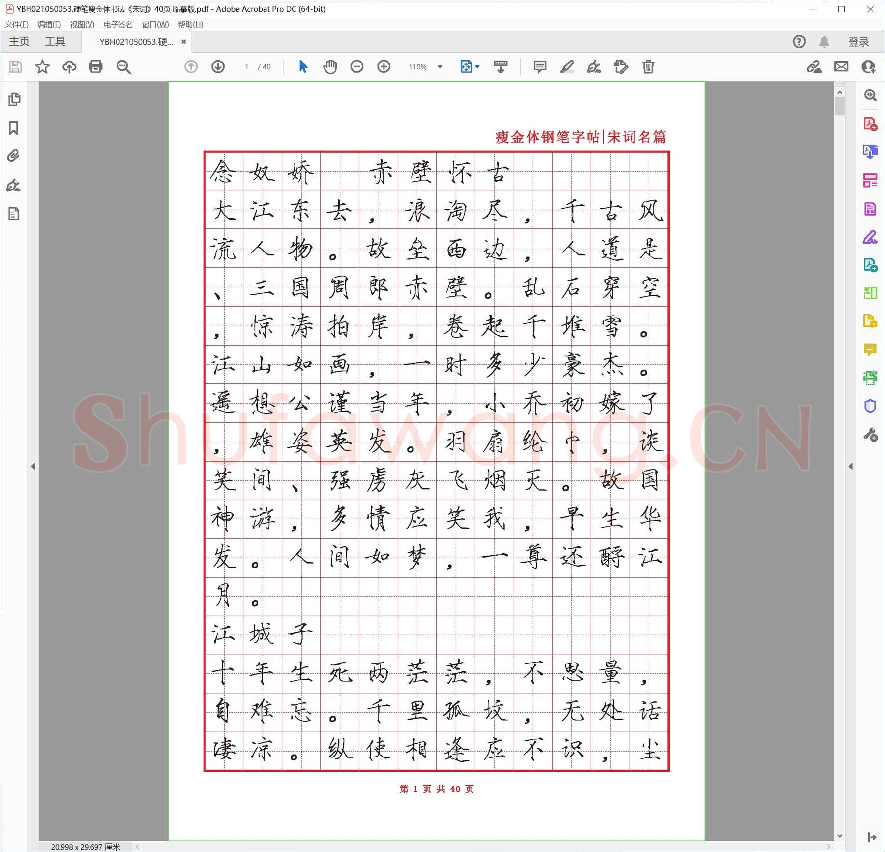 硬笔瘦金体书法《宋词》40页 临摹版.pdf