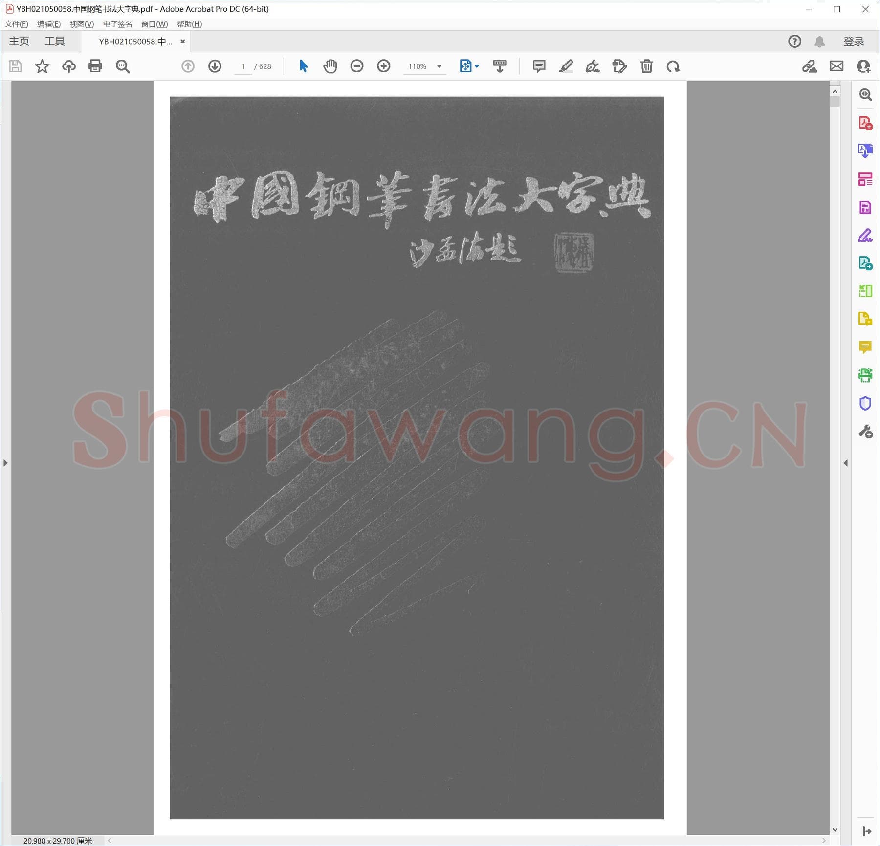 中国钢笔书法大字典.pdf