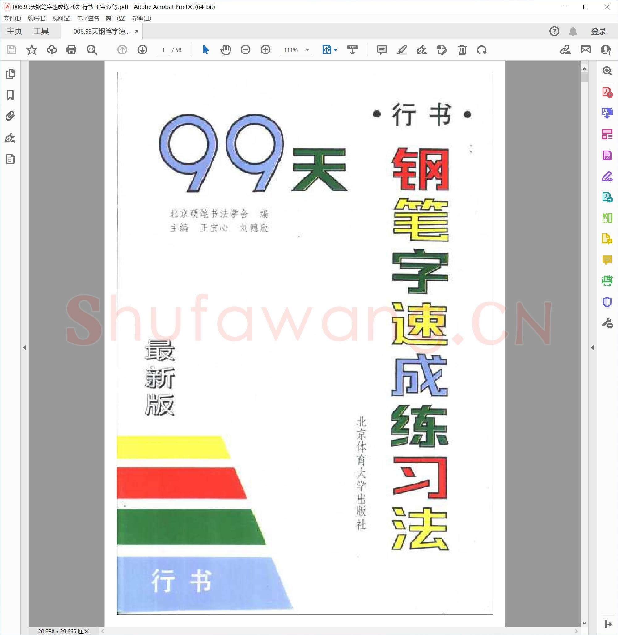 王宝心 99天钢笔字速成练习法 行书