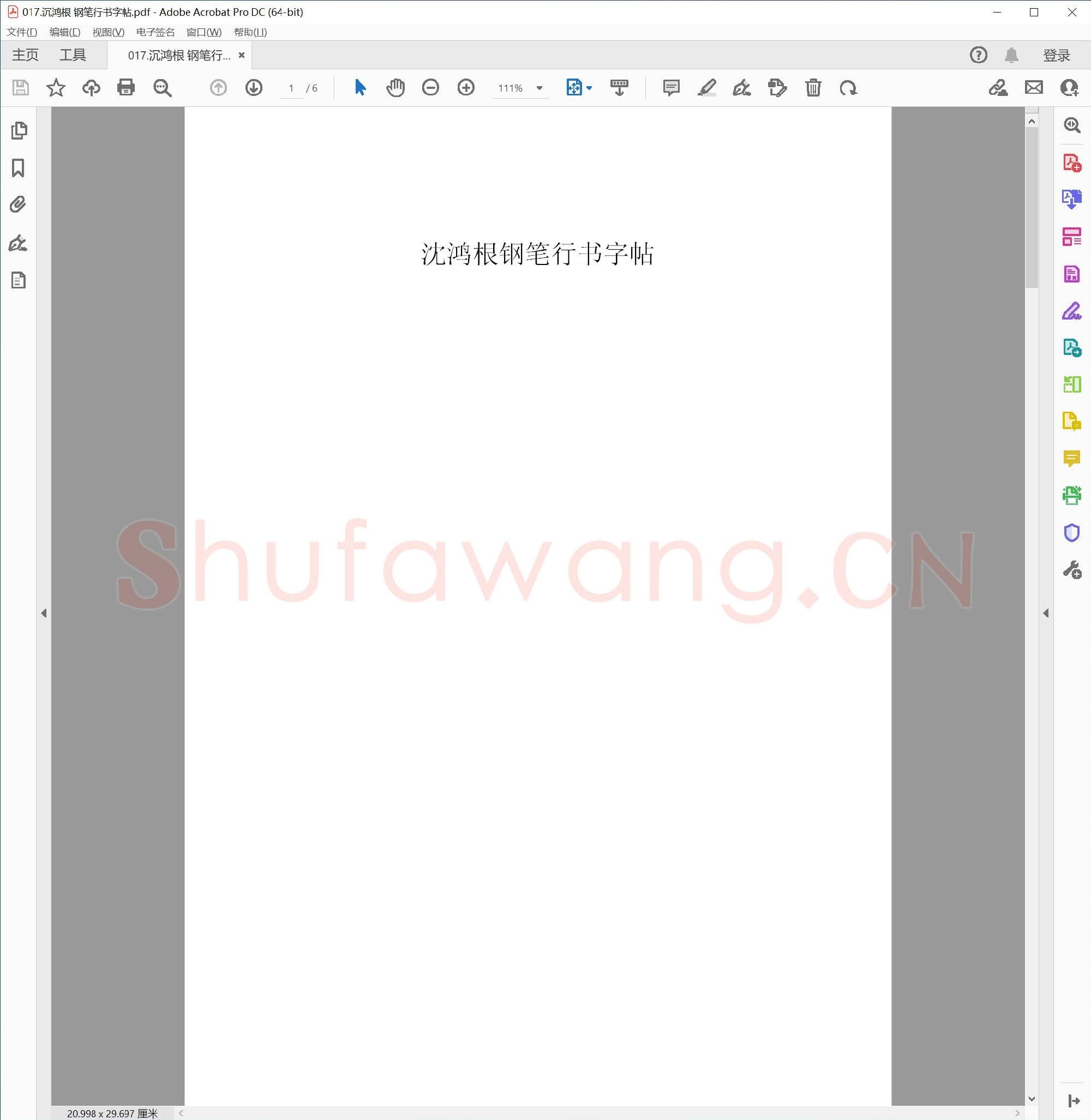 沉鸿根 钢笔行书字帖