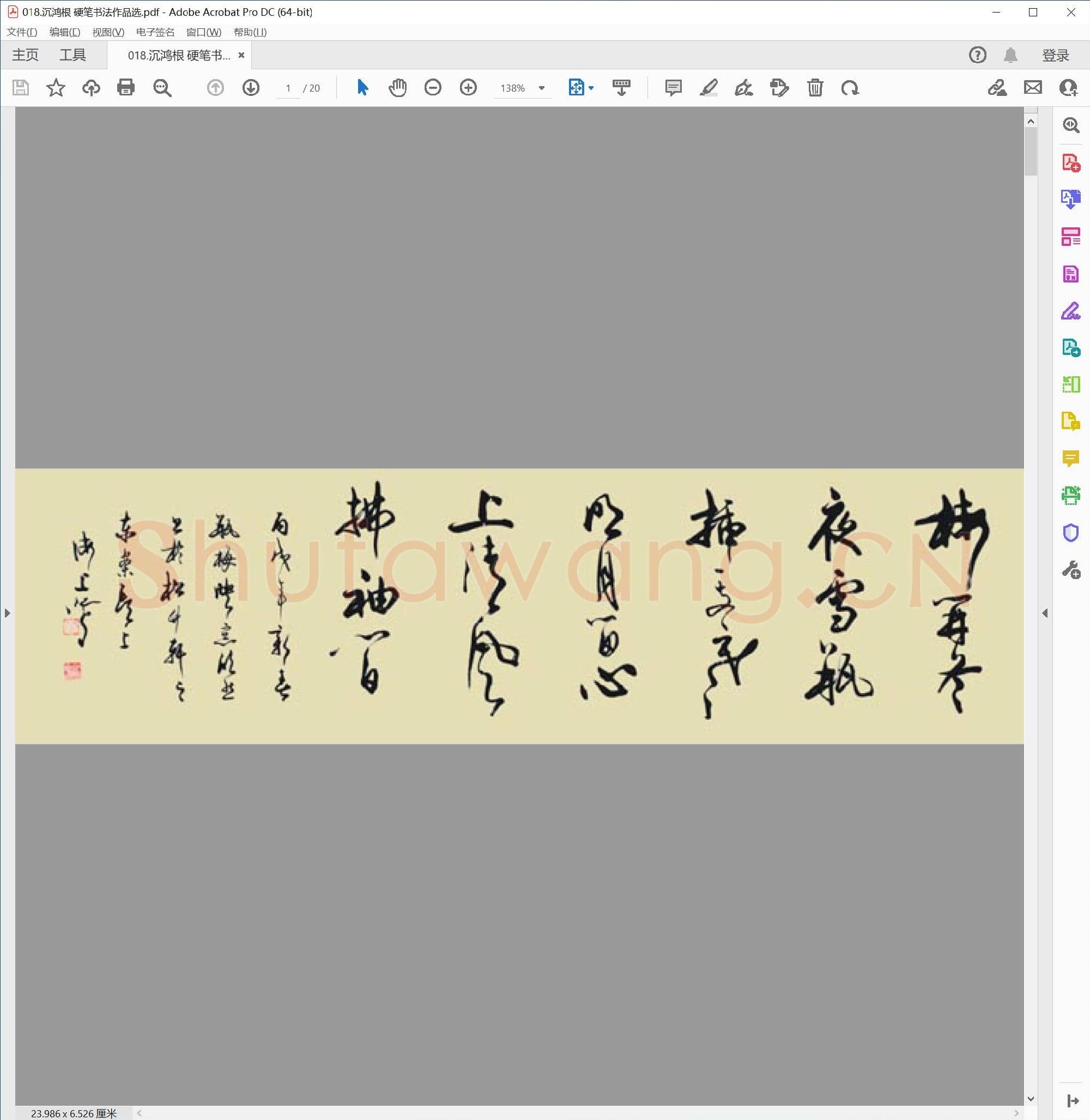 沉鸿根 硬笔书法作品选