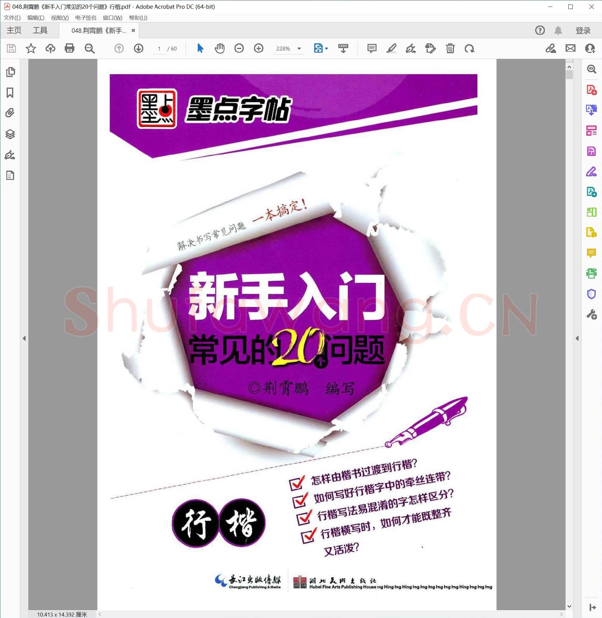 荆霄鹏《新手入门常见的20个问题》行楷