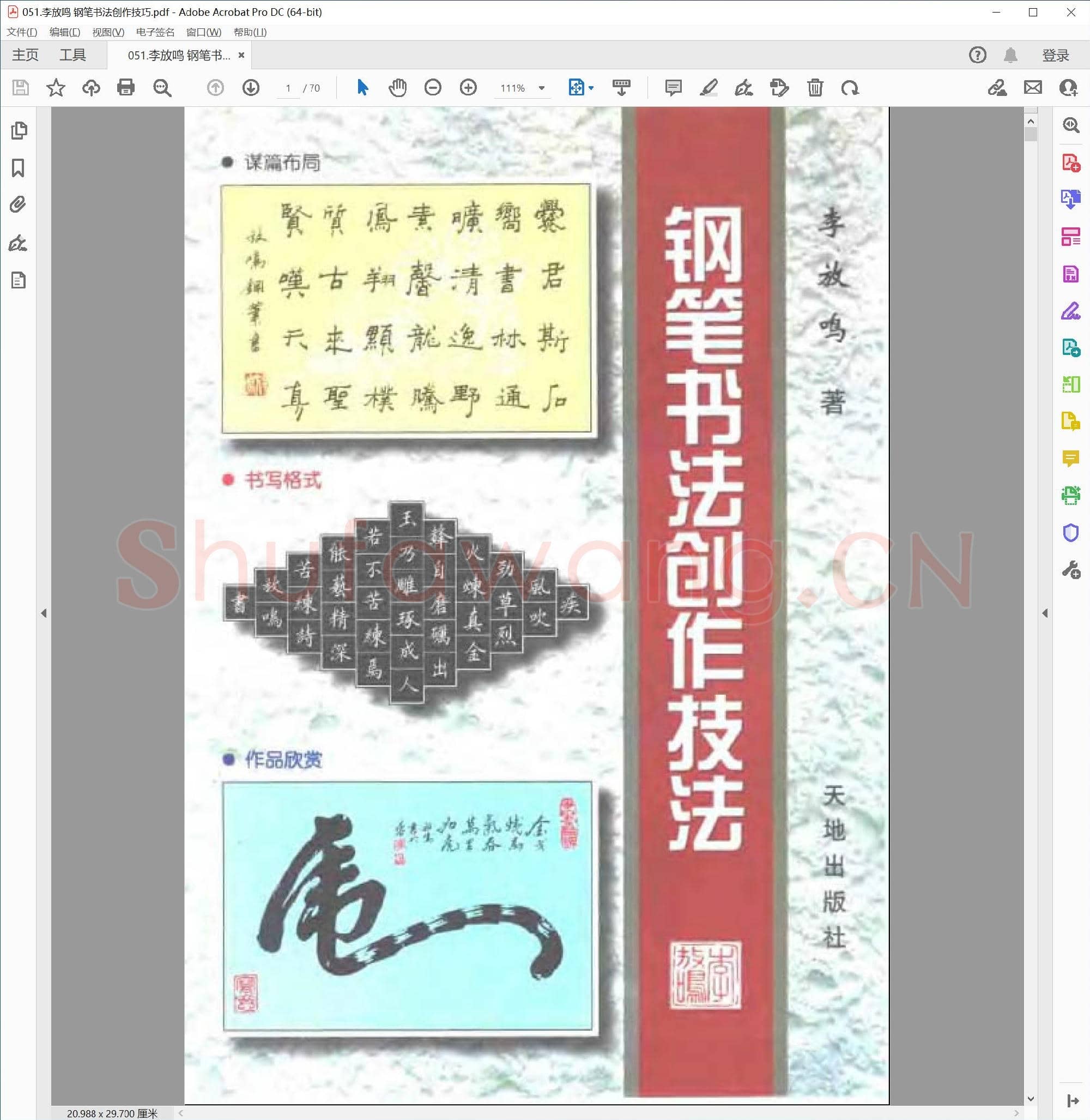 李放鸣 钢笔书法创作技巧