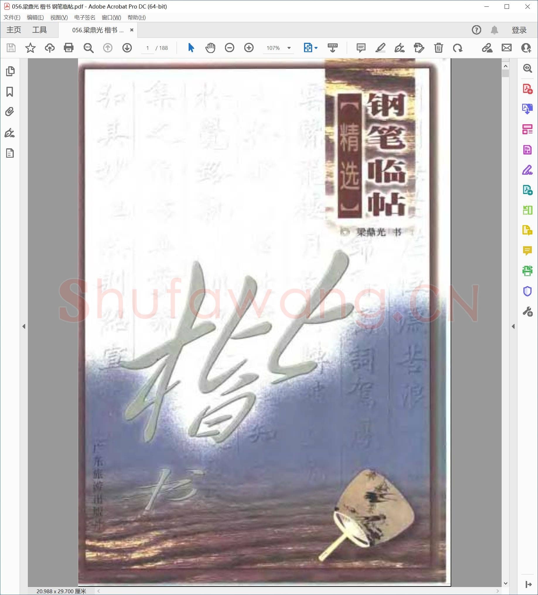 梁鼎光 楷书 钢笔临帖