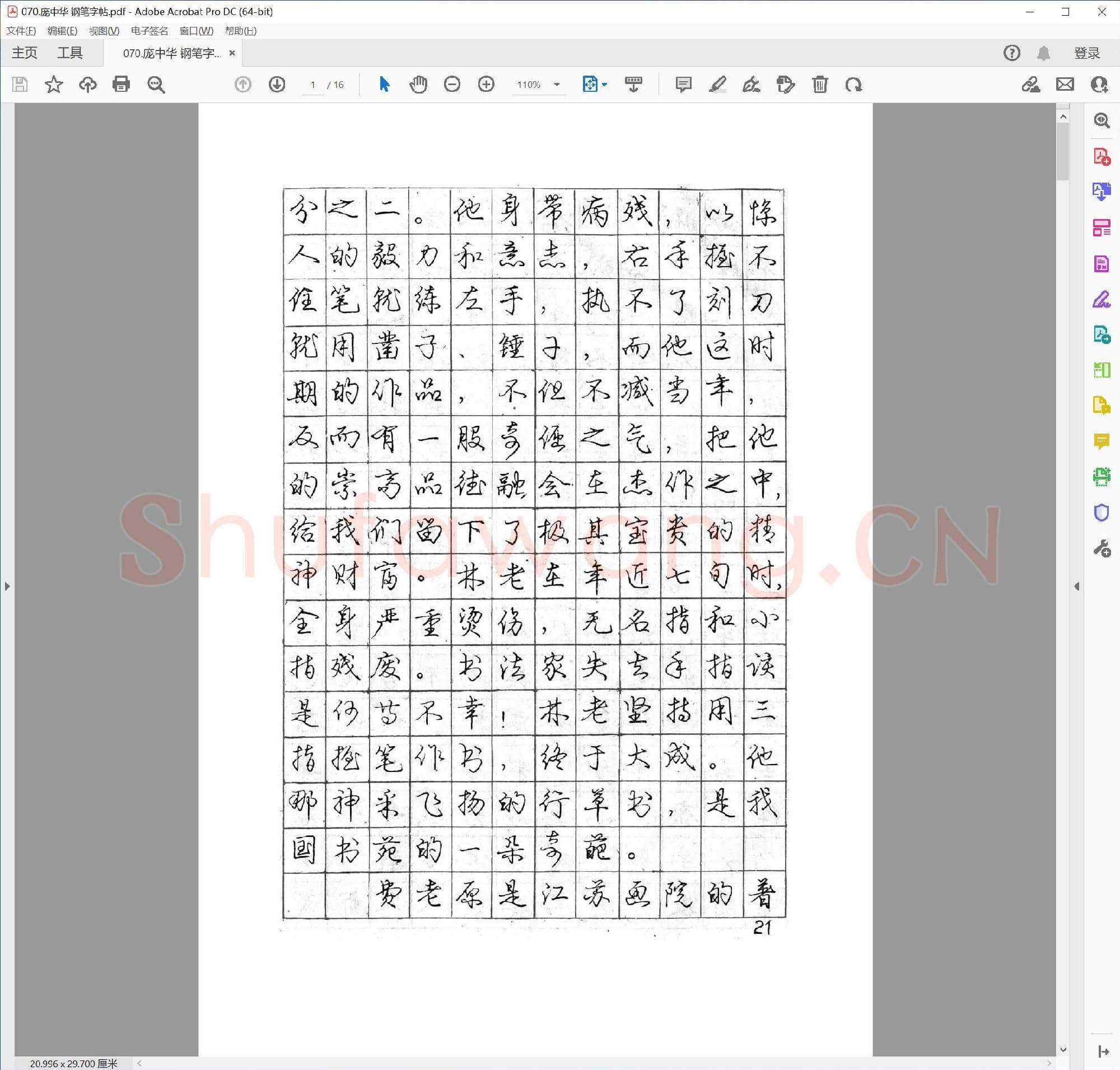 庞中华 钢笔字帖