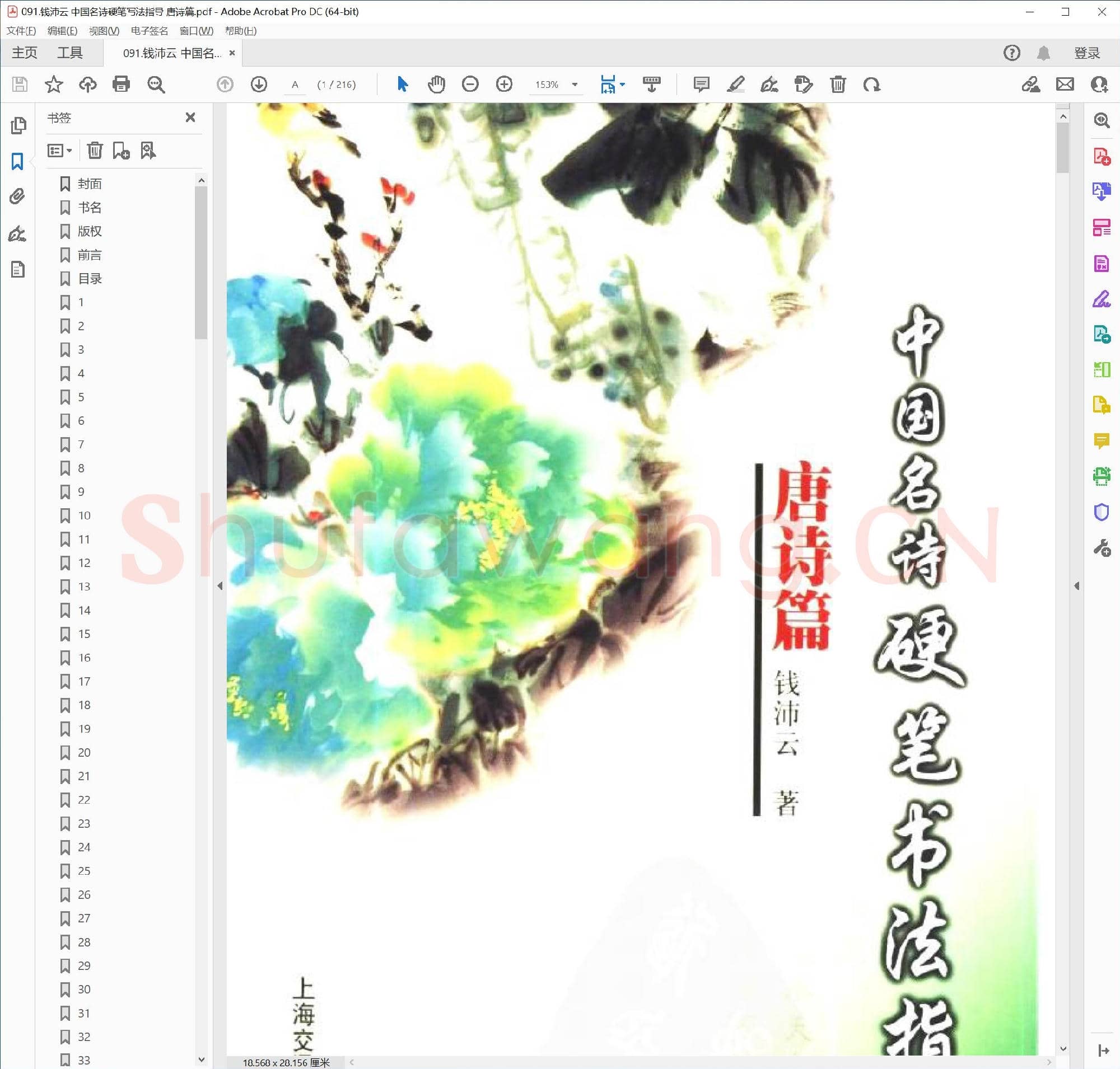 钱沛云 中国名诗硬笔写法指导 唐诗篇