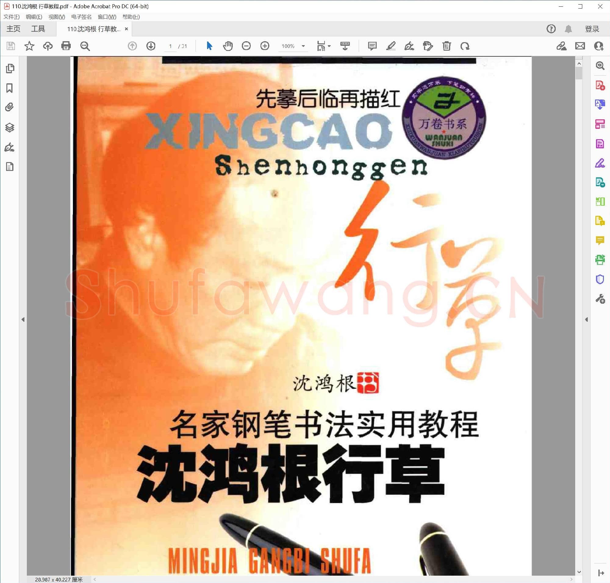 沈鸿根 行草教程