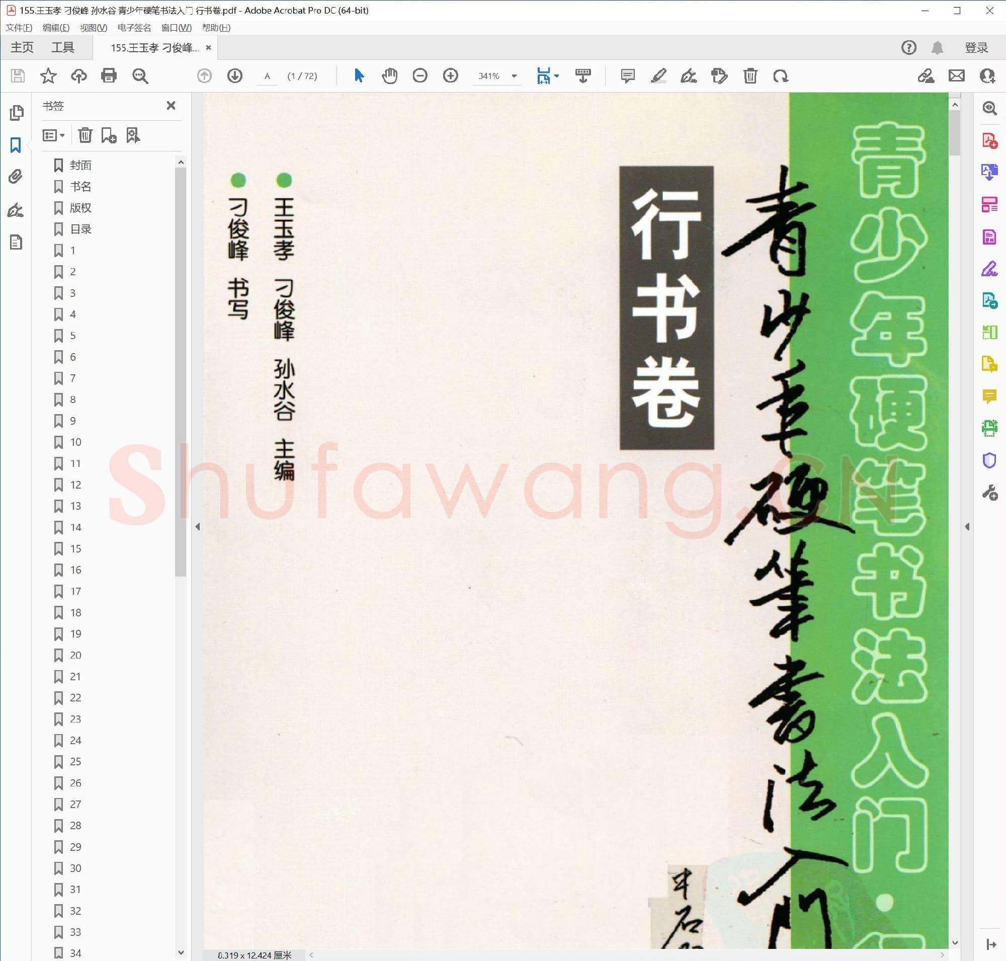 王玉孝 刁俊峰 孙水谷 青少年硬笔书法入门 行书卷