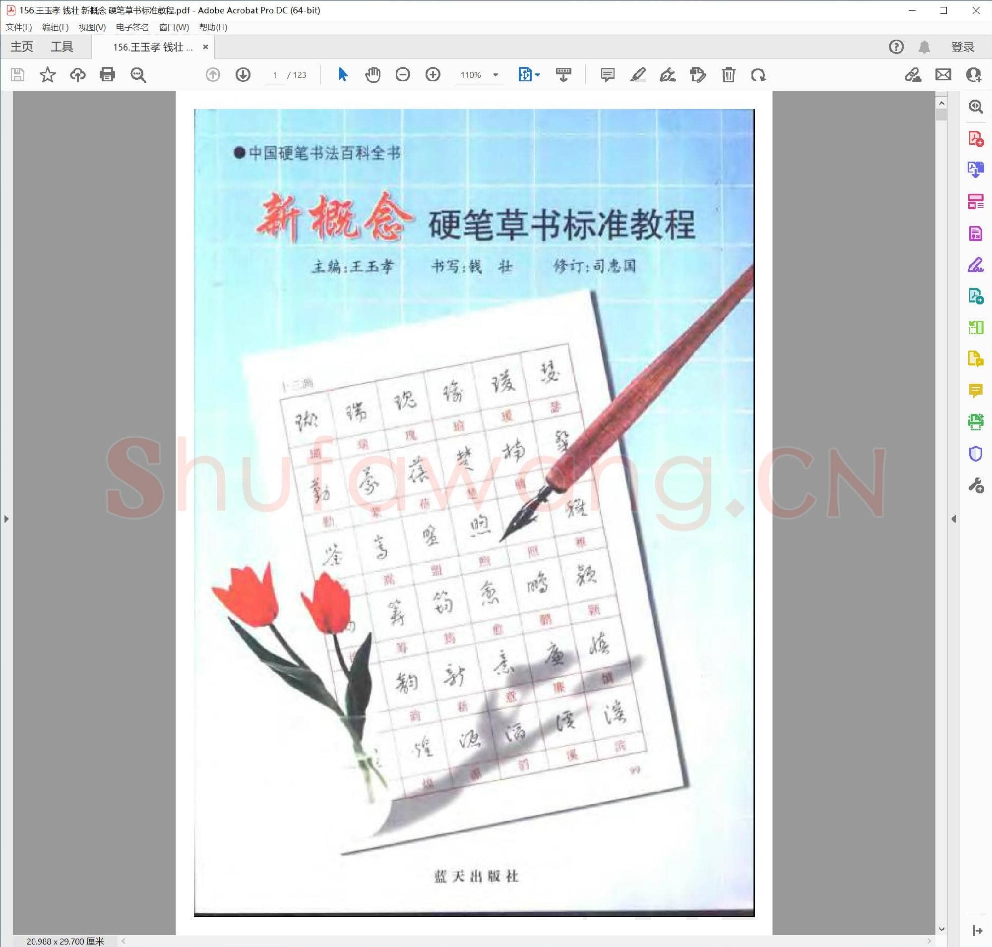 王玉孝 钱壮 新概念 硬笔草书标准教程