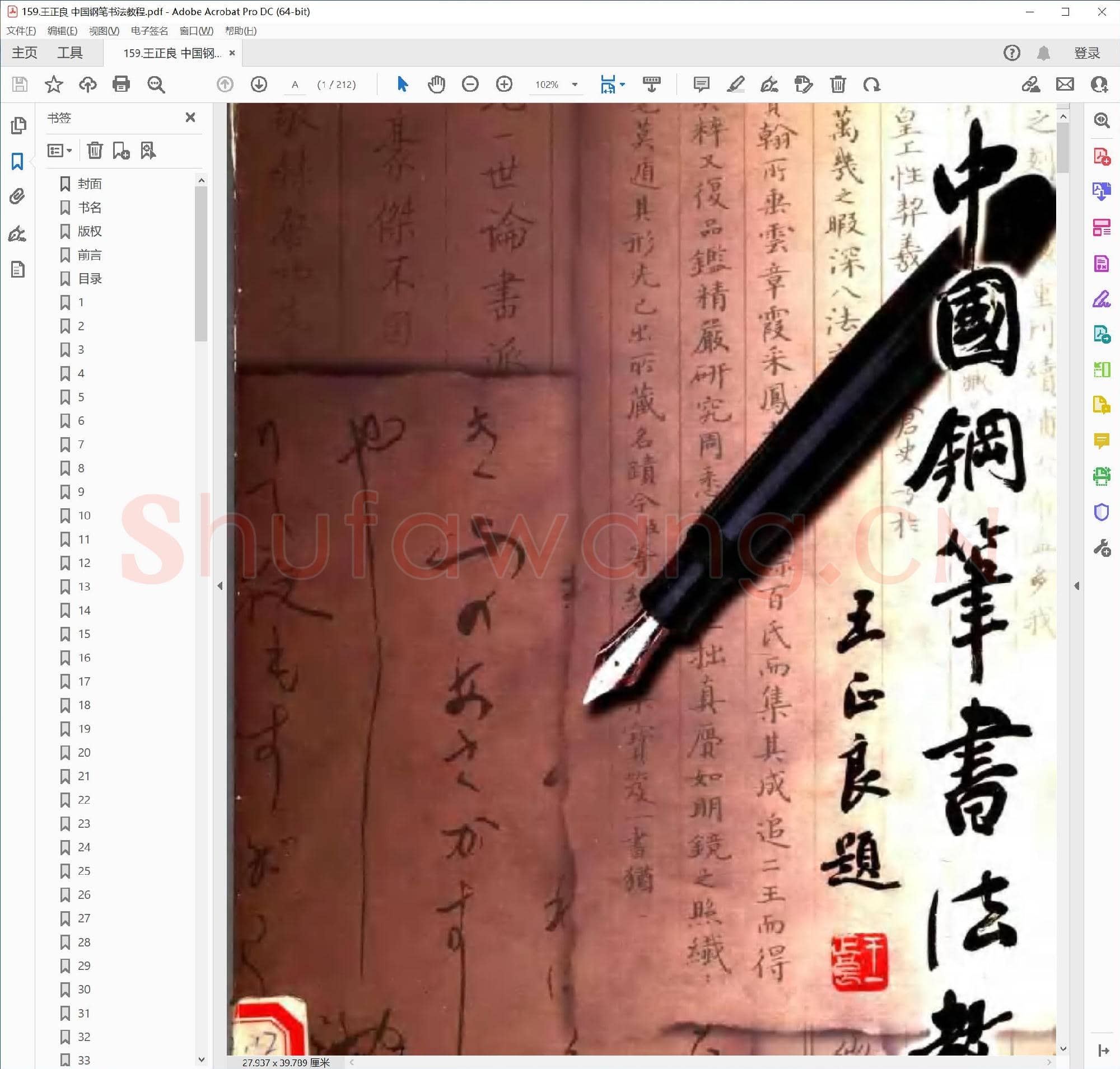 王正良 中国钢笔书法教程