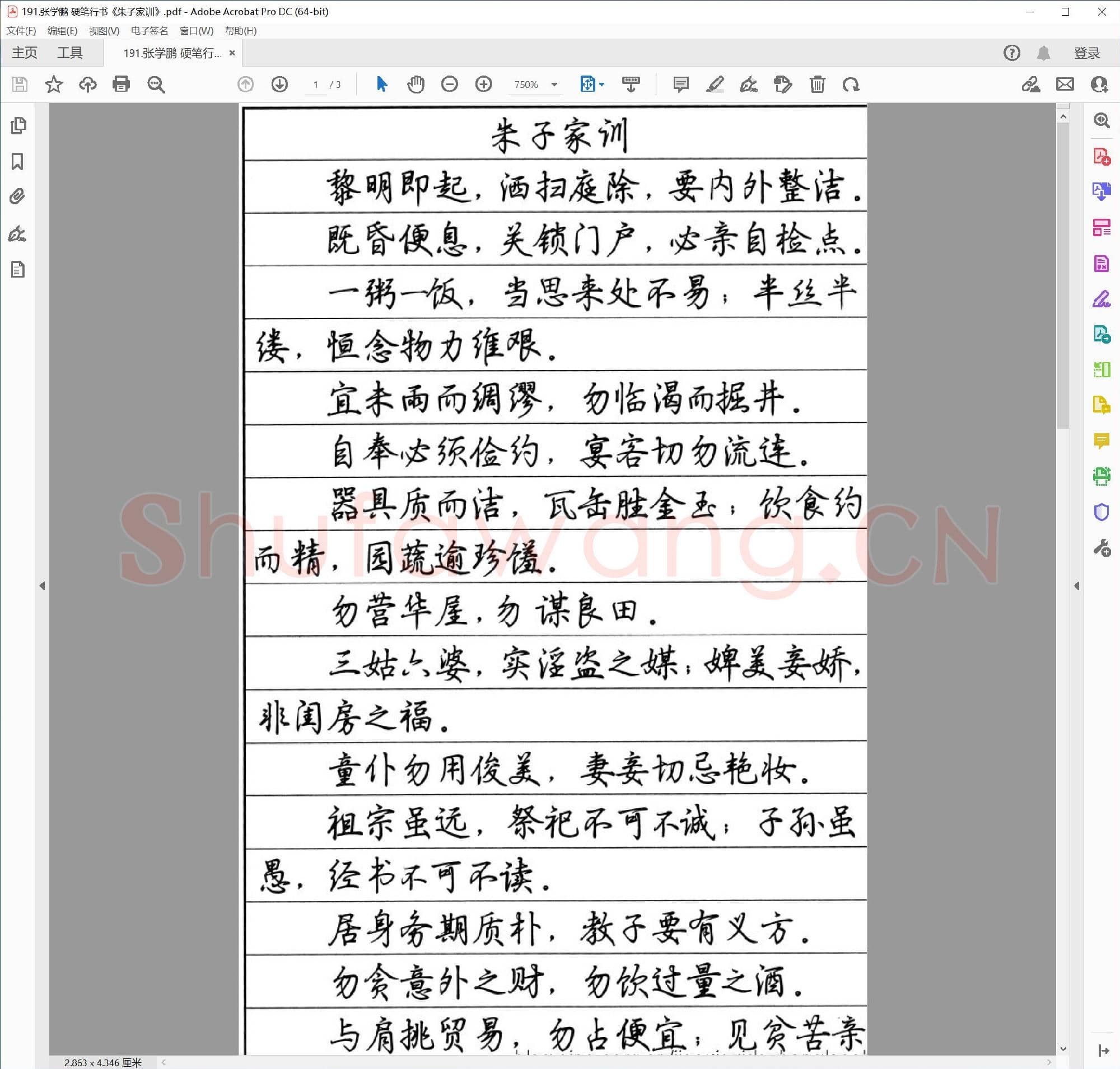 张学鹏 硬笔行书《朱子家训》