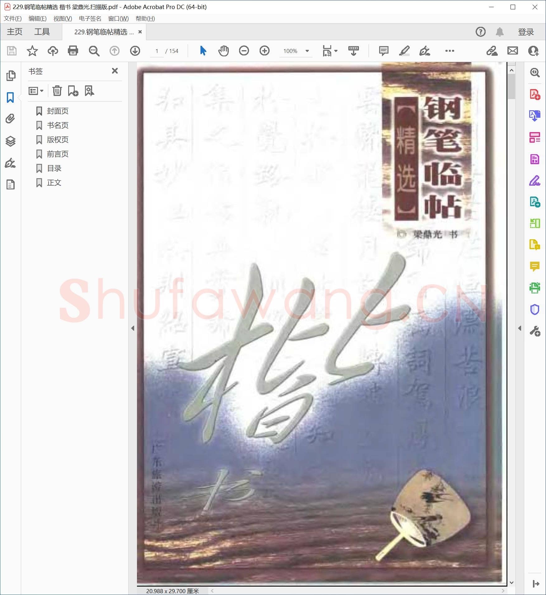 梁鼎光 钢笔临帖精选 楷书.pdf