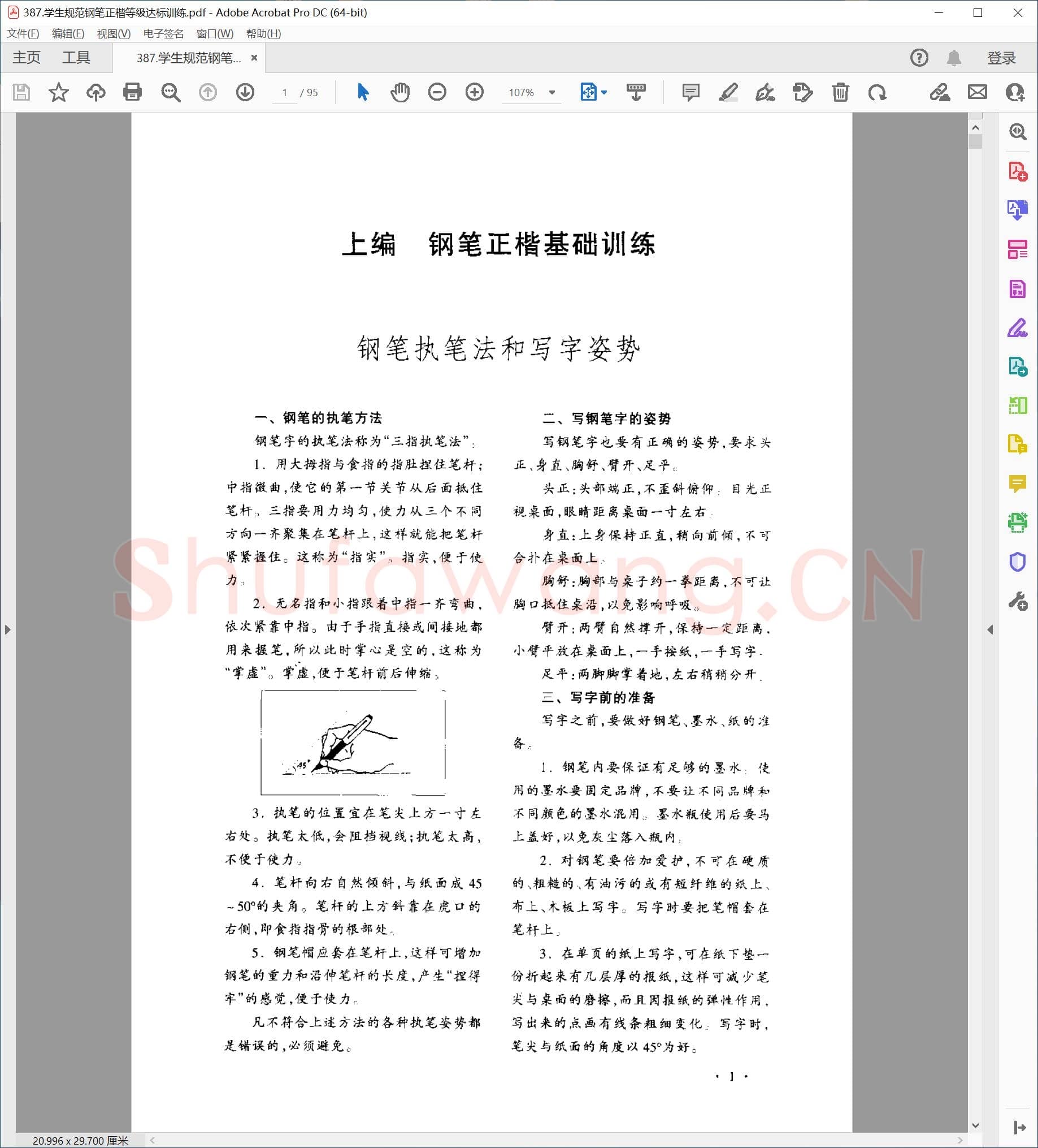 顾仲安 学生规范钢笔正楷等级达标训练
