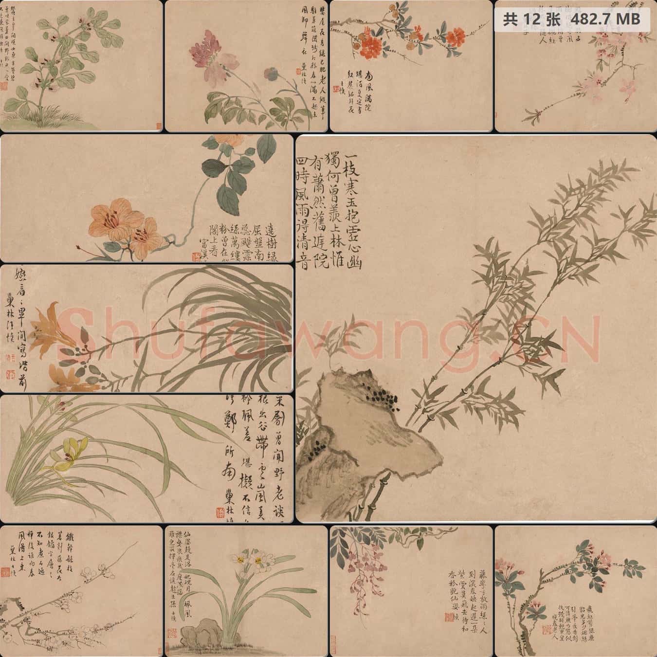 清 汪士慎-花卉图册- 南京博物院馆藏书画作品