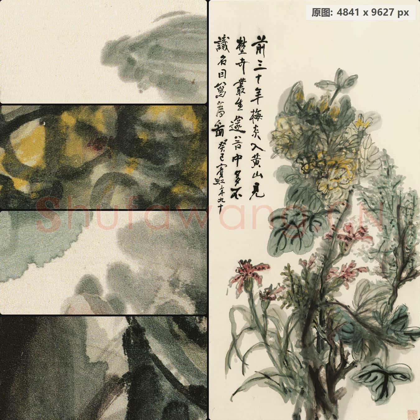 黄宾虹 黄山野卉 41×82 南京博物院馆藏书画作品