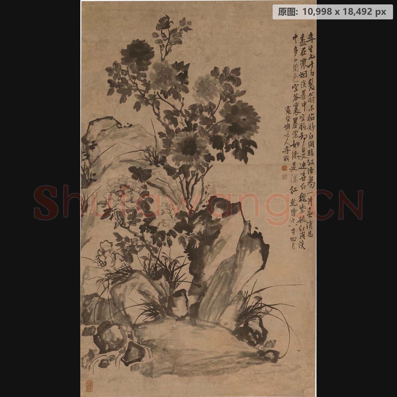 清 李鱓-魏紫姚黄图轴 南京博物院馆藏书画作品
