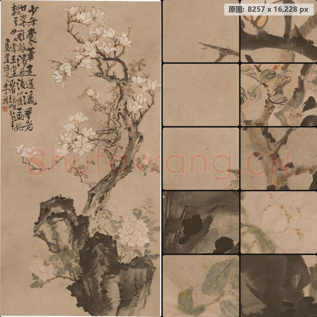 清 李鱓-玉兰牡丹图轴 南京博物院馆藏书画作品