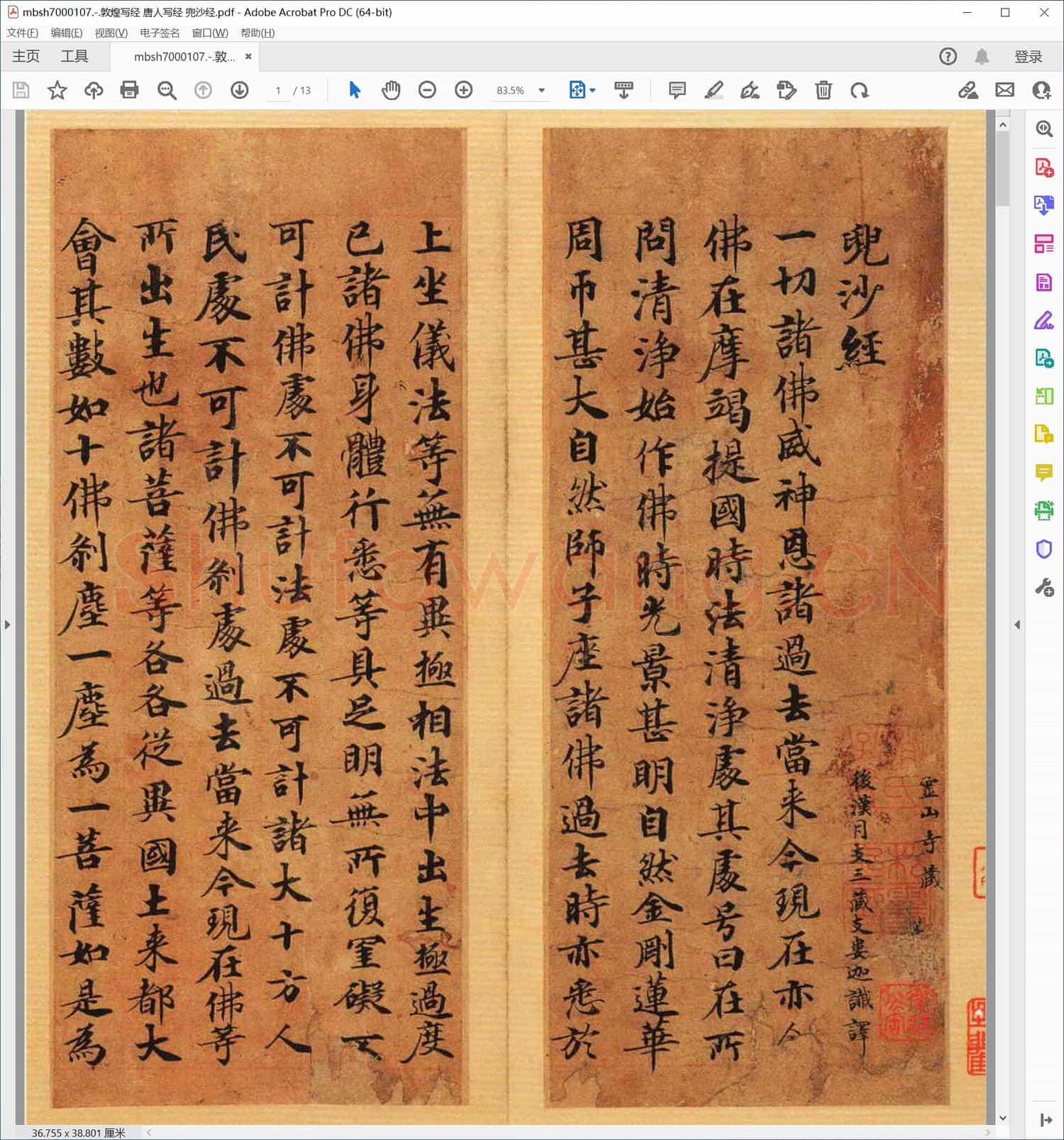 敦煌写经 唐人写经 兜沙经