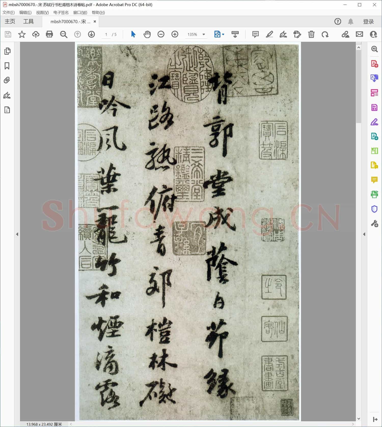 宋 苏轼行书杜甫桤木诗卷帖