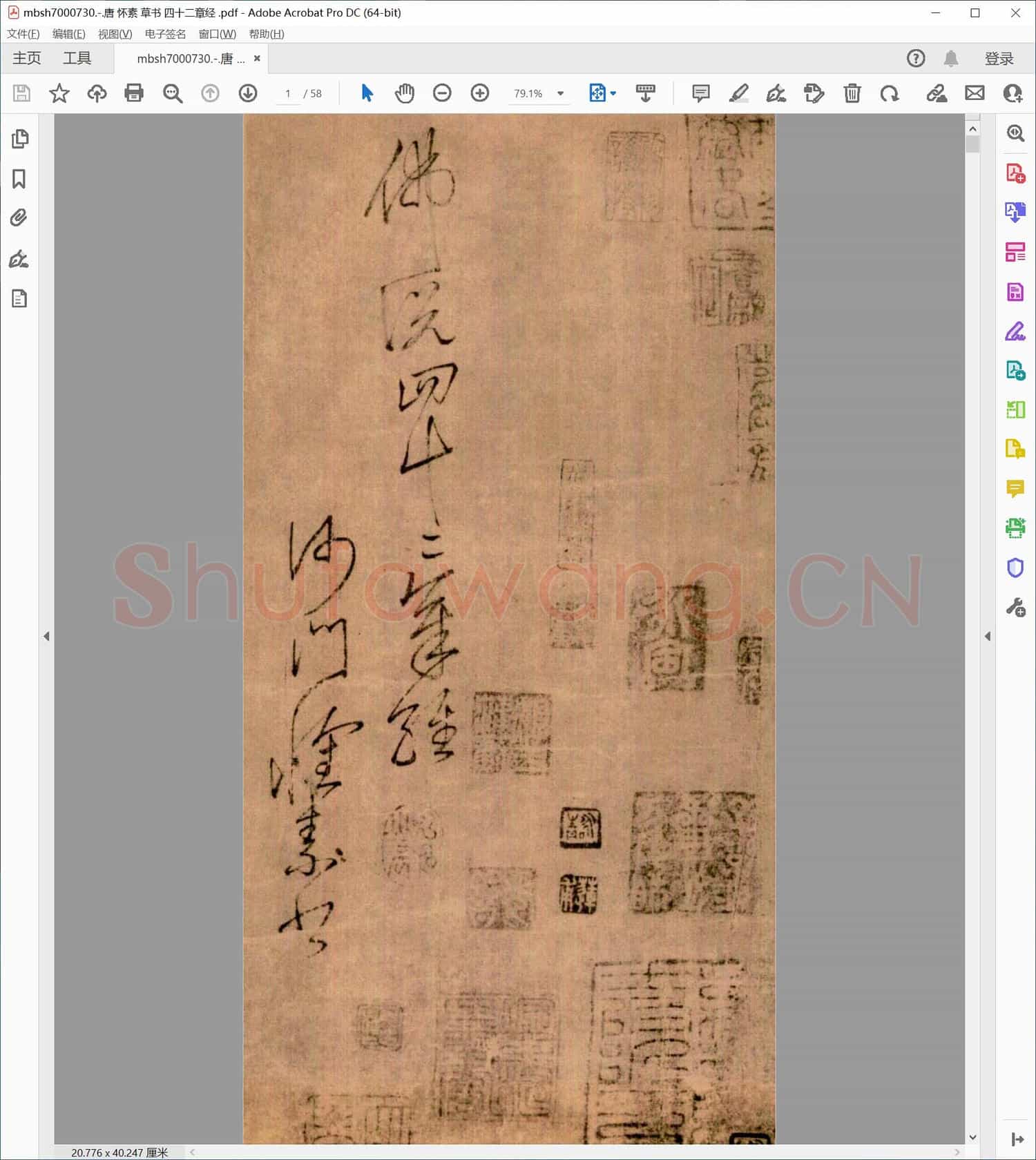 唐 怀素 草书 四十二章经