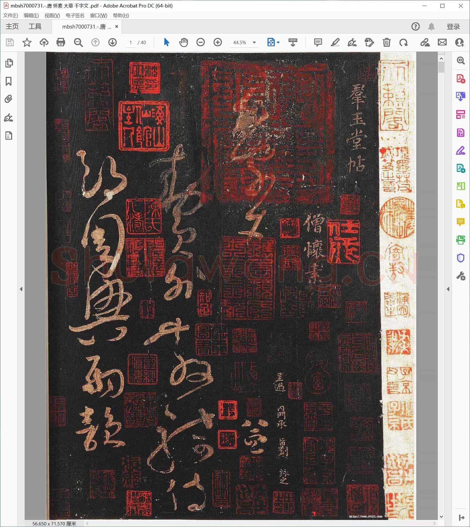 唐 怀素 大草 千字文