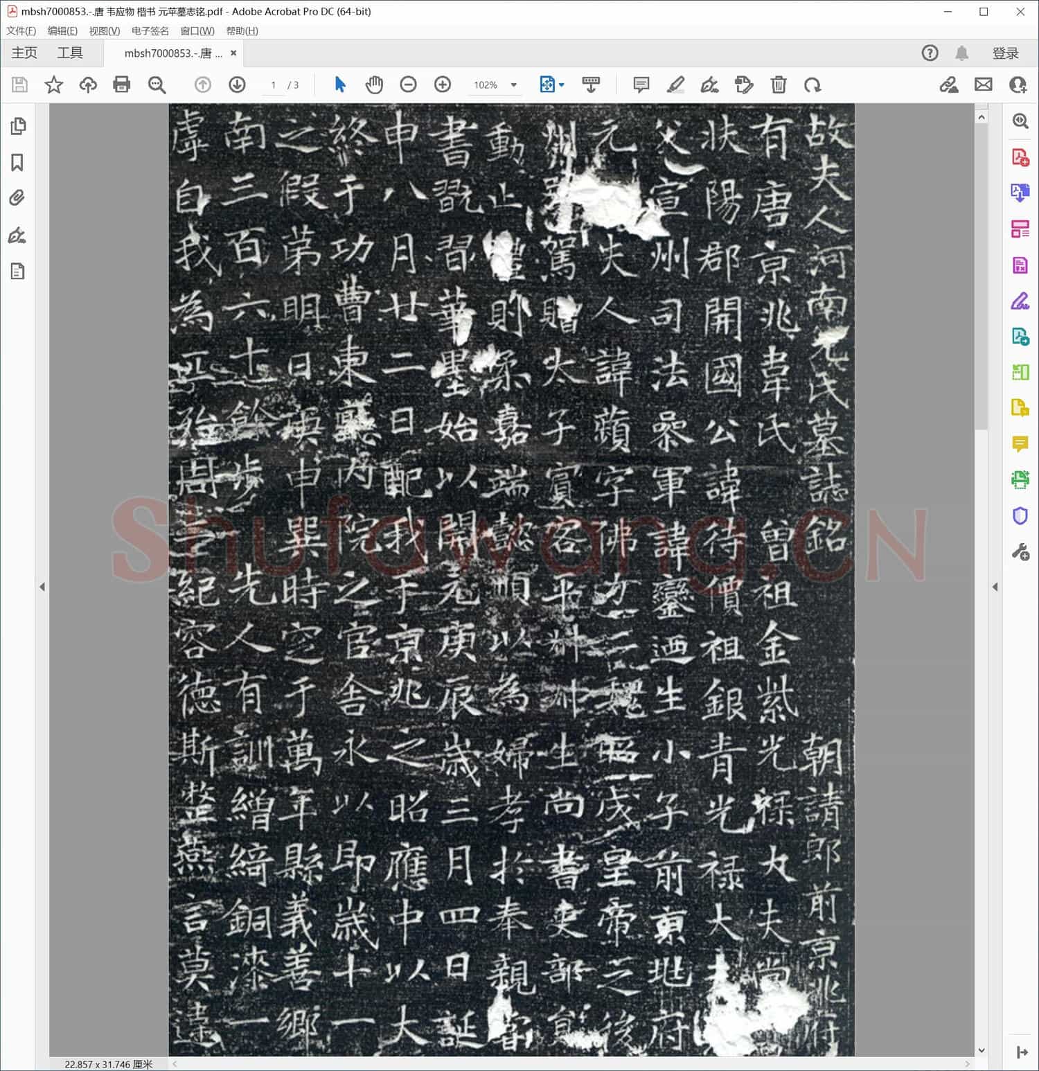 唐 韦应物 楷书 元苹墓志铭