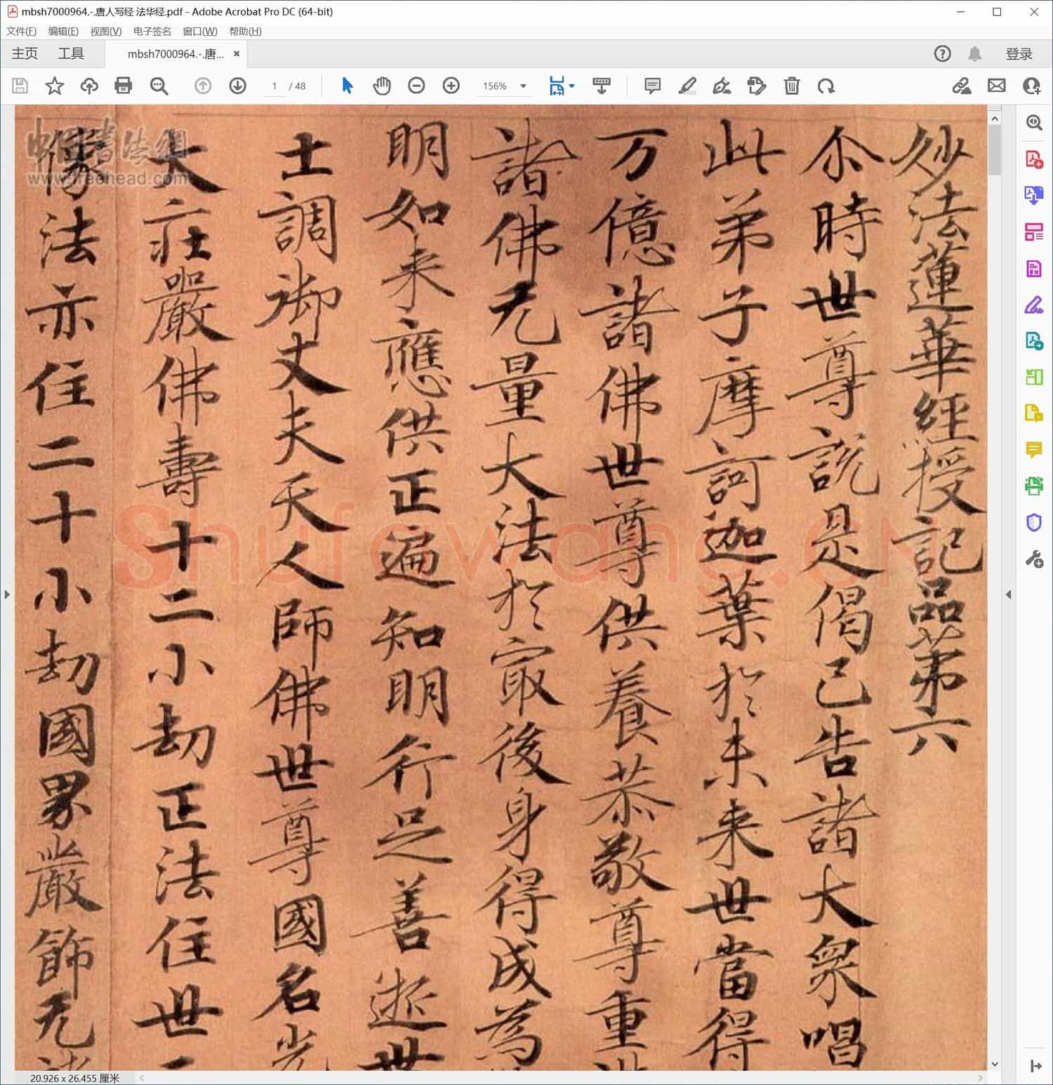 唐人写经 法华经