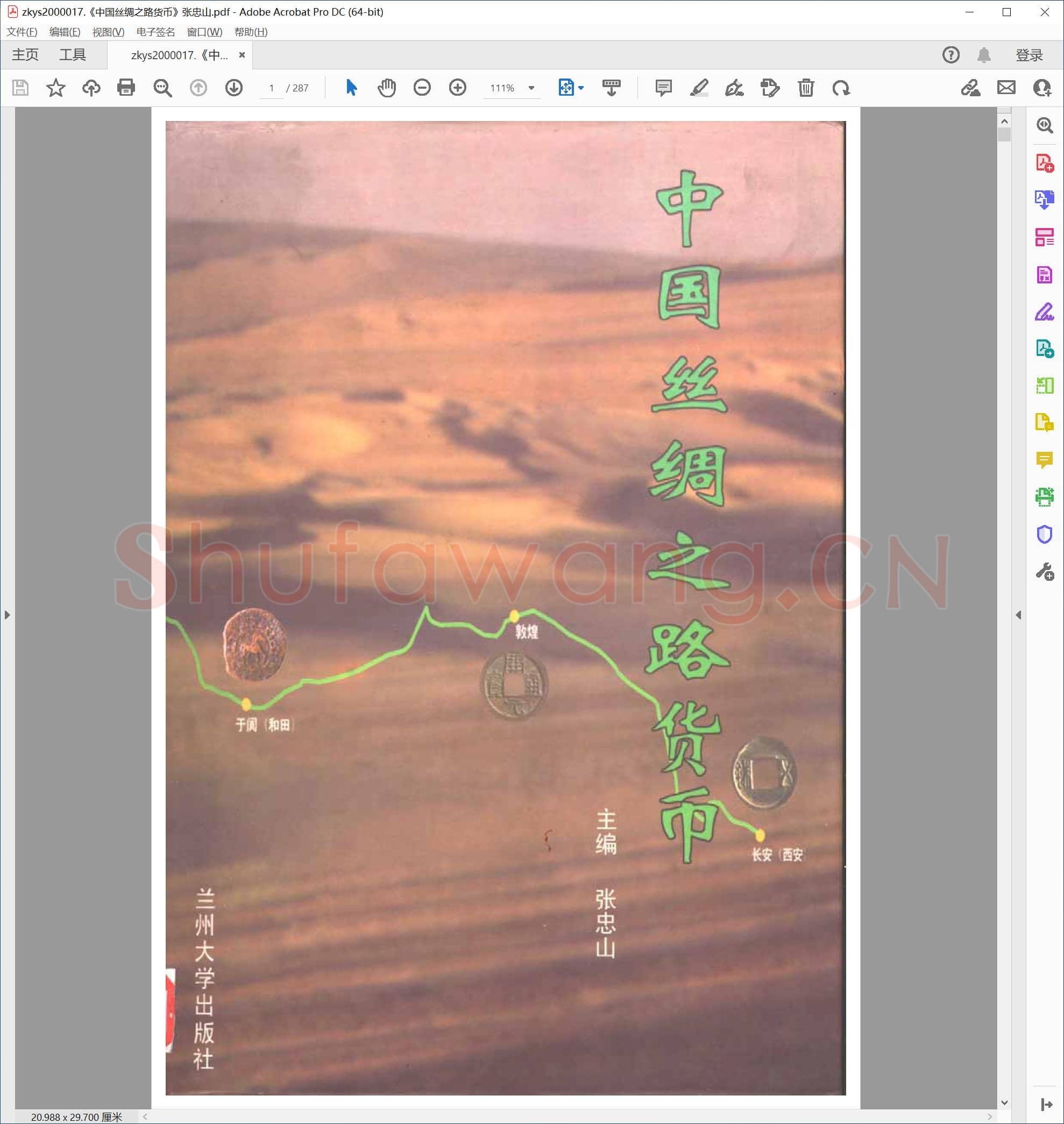 中国丝绸之路货币 张忠山