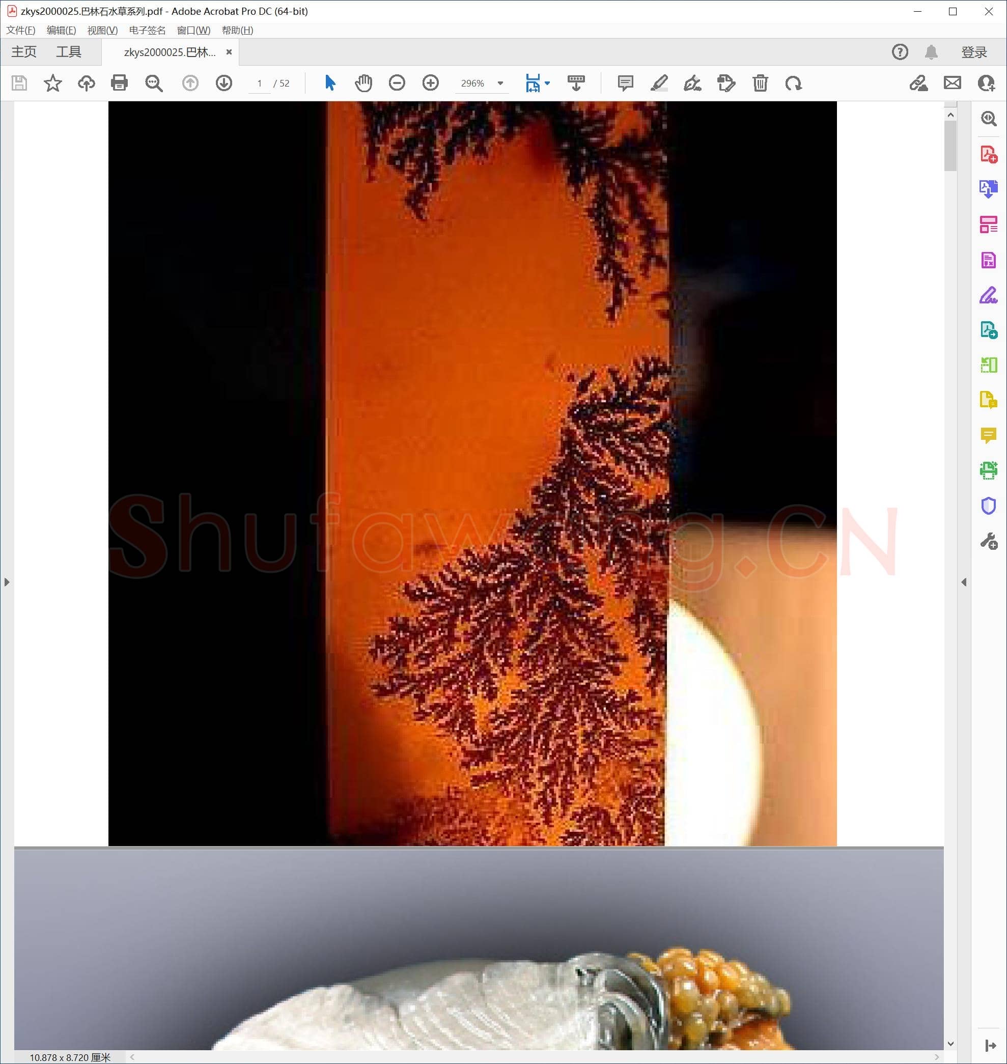巴林石水草系列