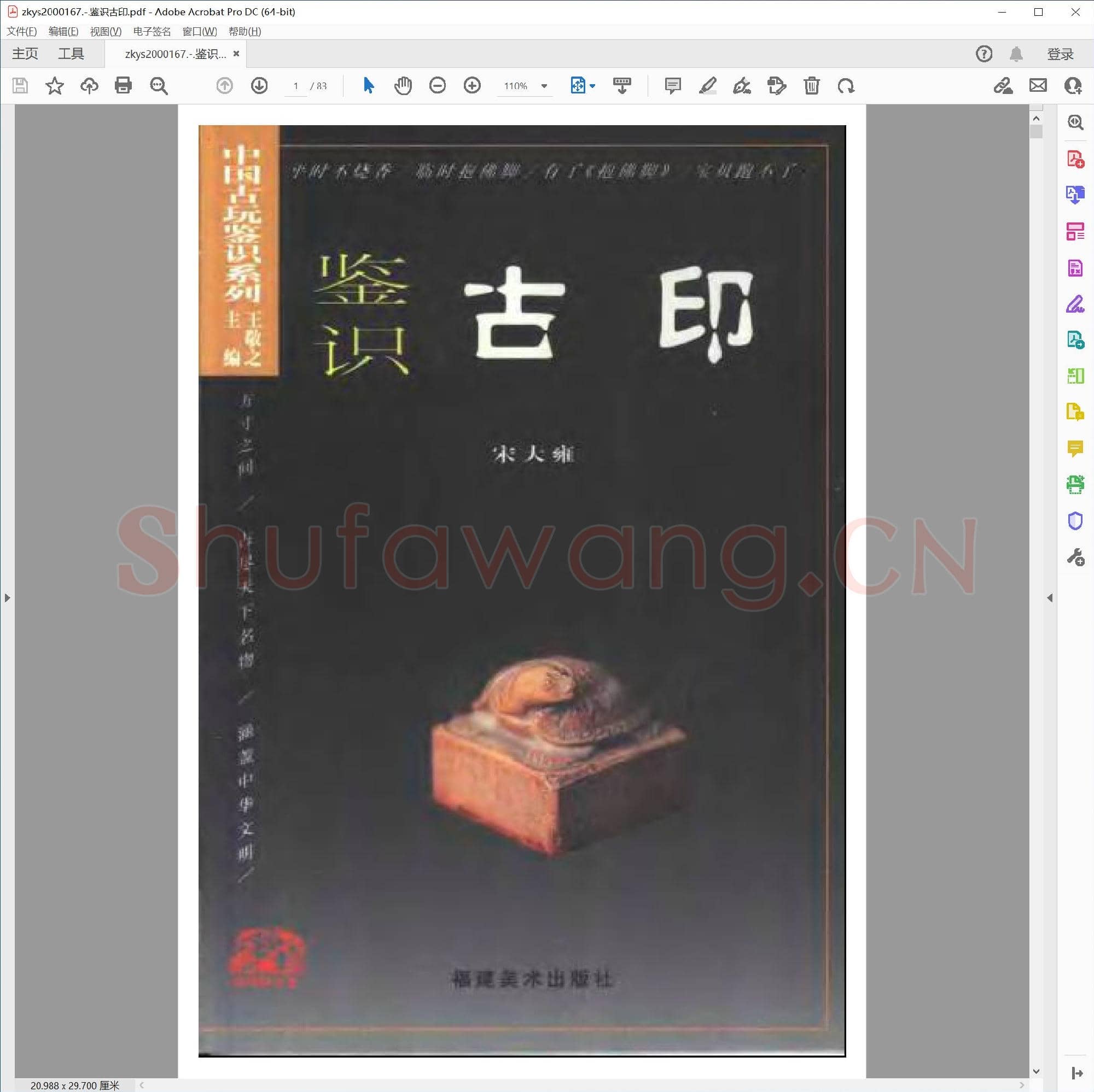 鉴识古印.pdf