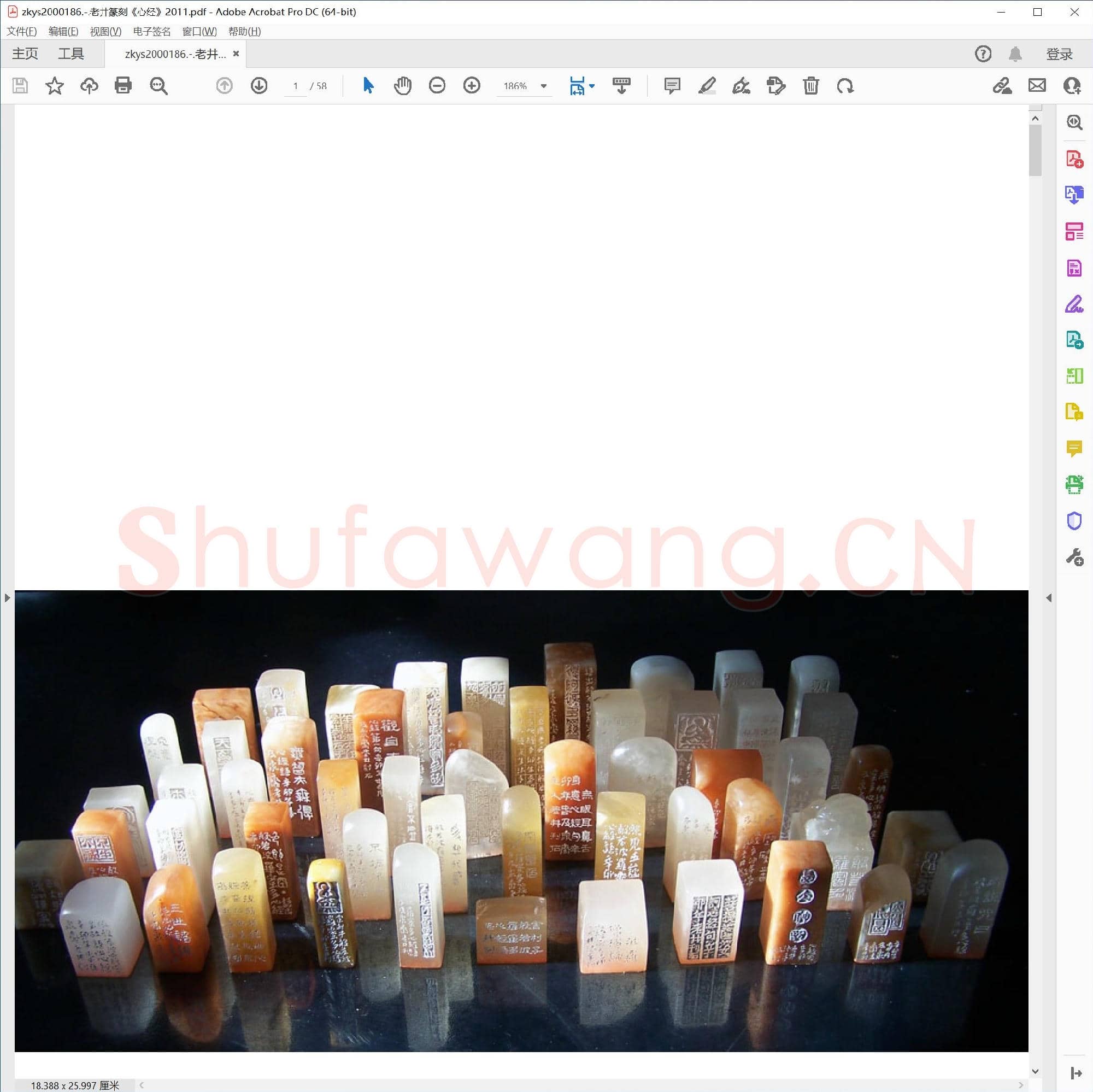 老井篆刻《心经》2011.pdf