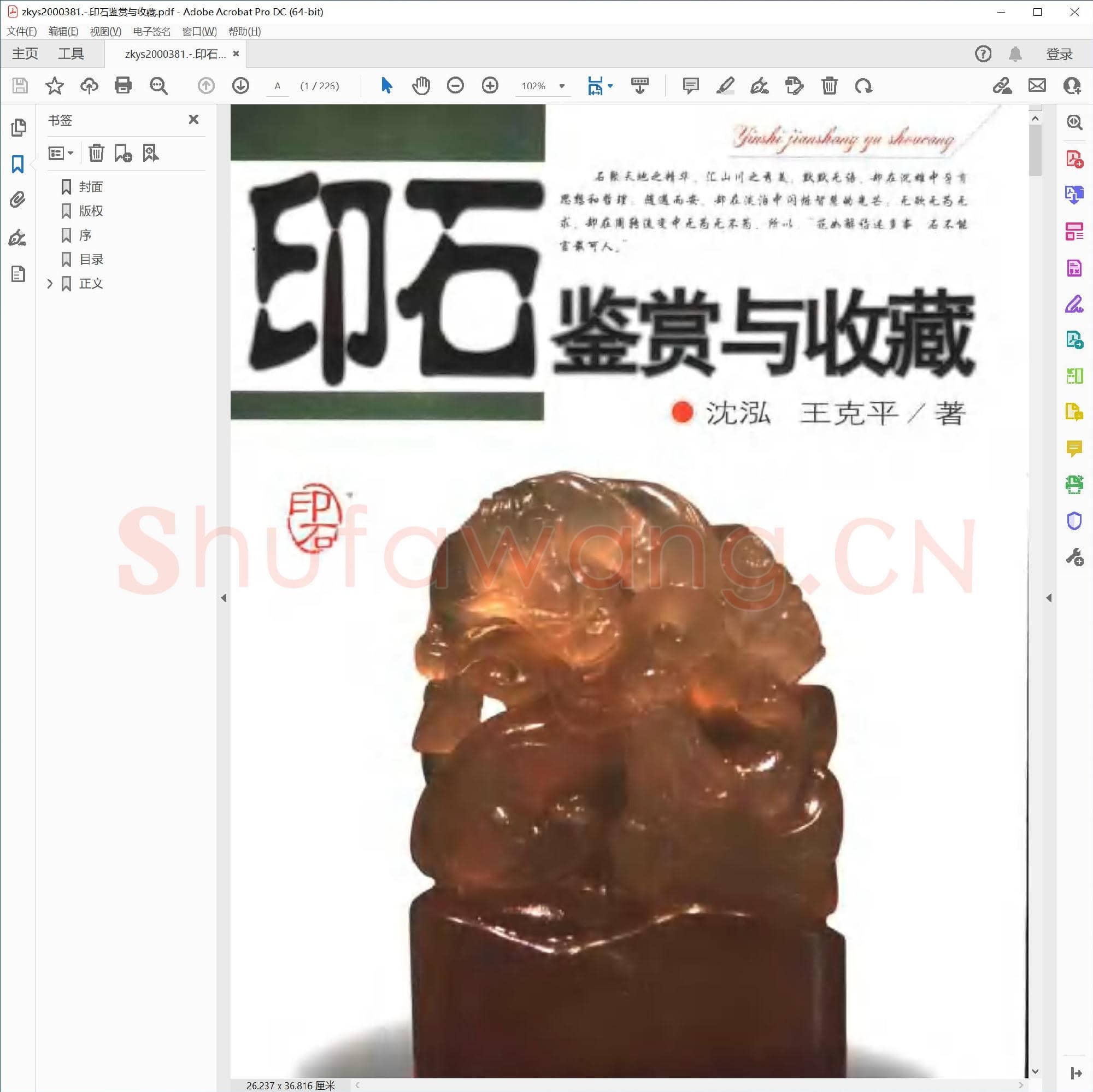 印石鉴赏与收藏.pdf