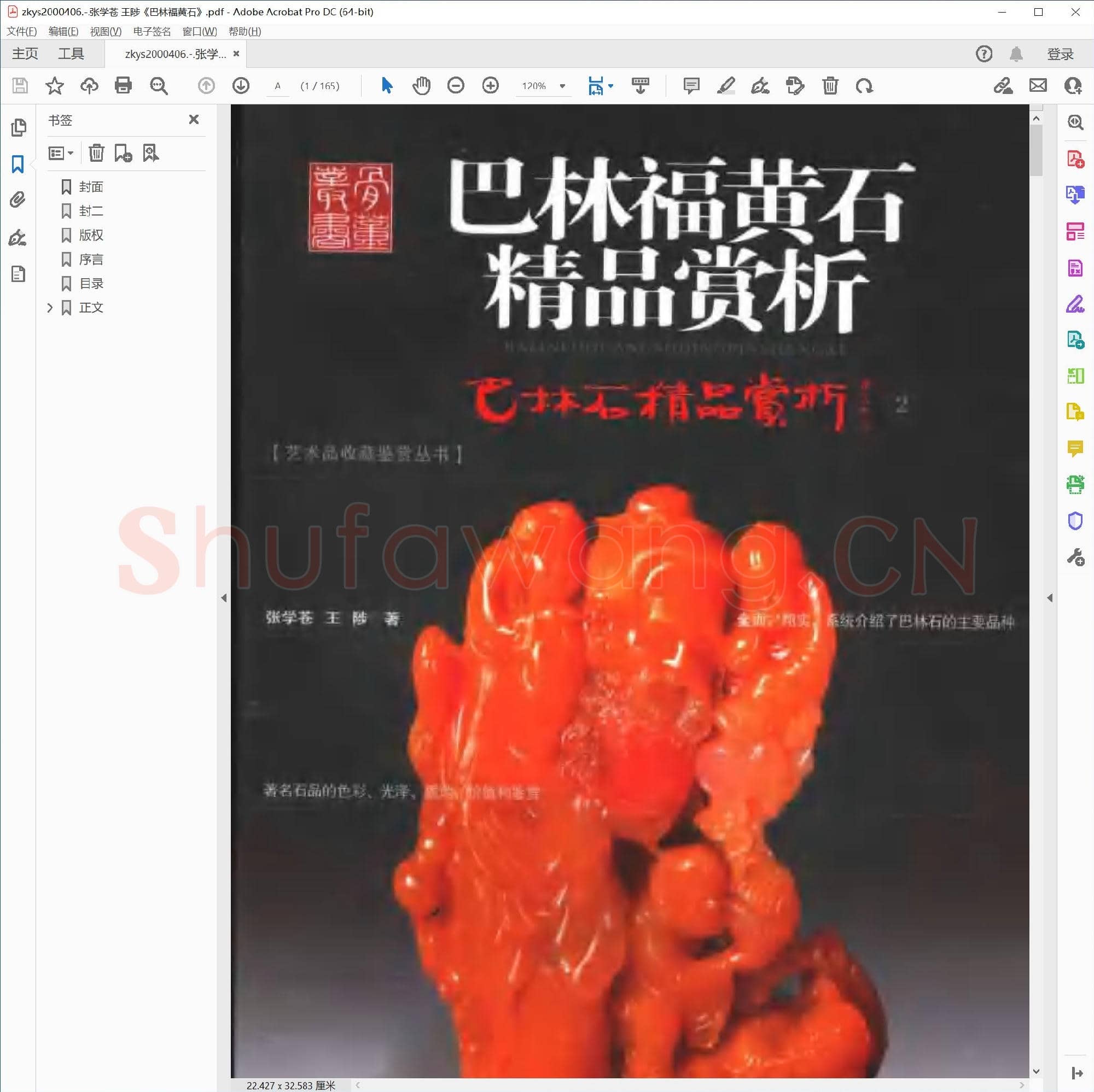 张学苍 王陟《巴林福黄石》.pdf