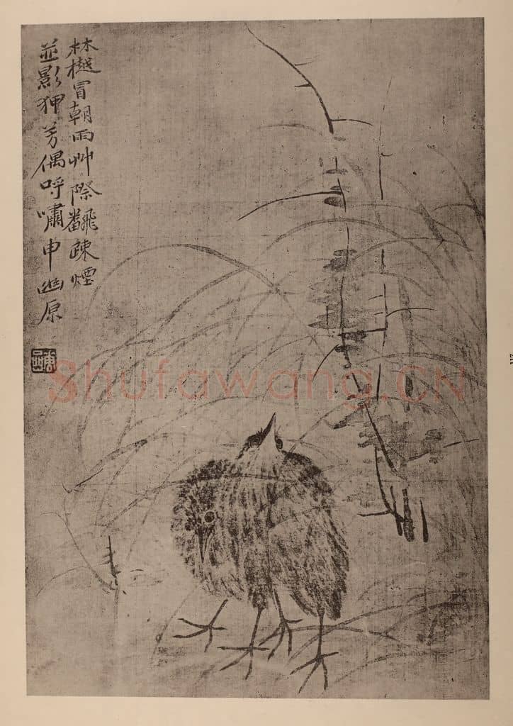 清 华岩《双鹑图页》国画作品