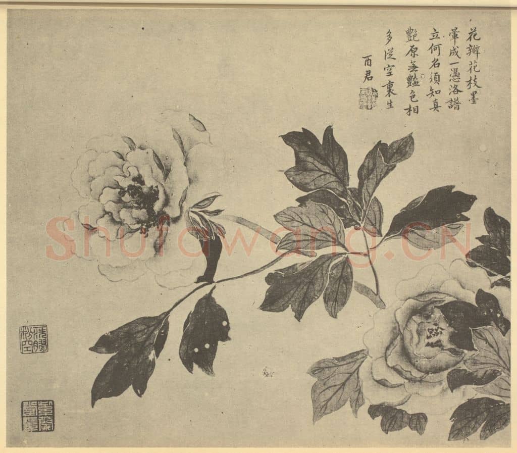 清 蒋廷锡《牡丹》国画作品