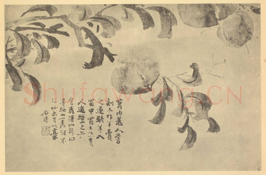 清 道济《桃实》国画作品