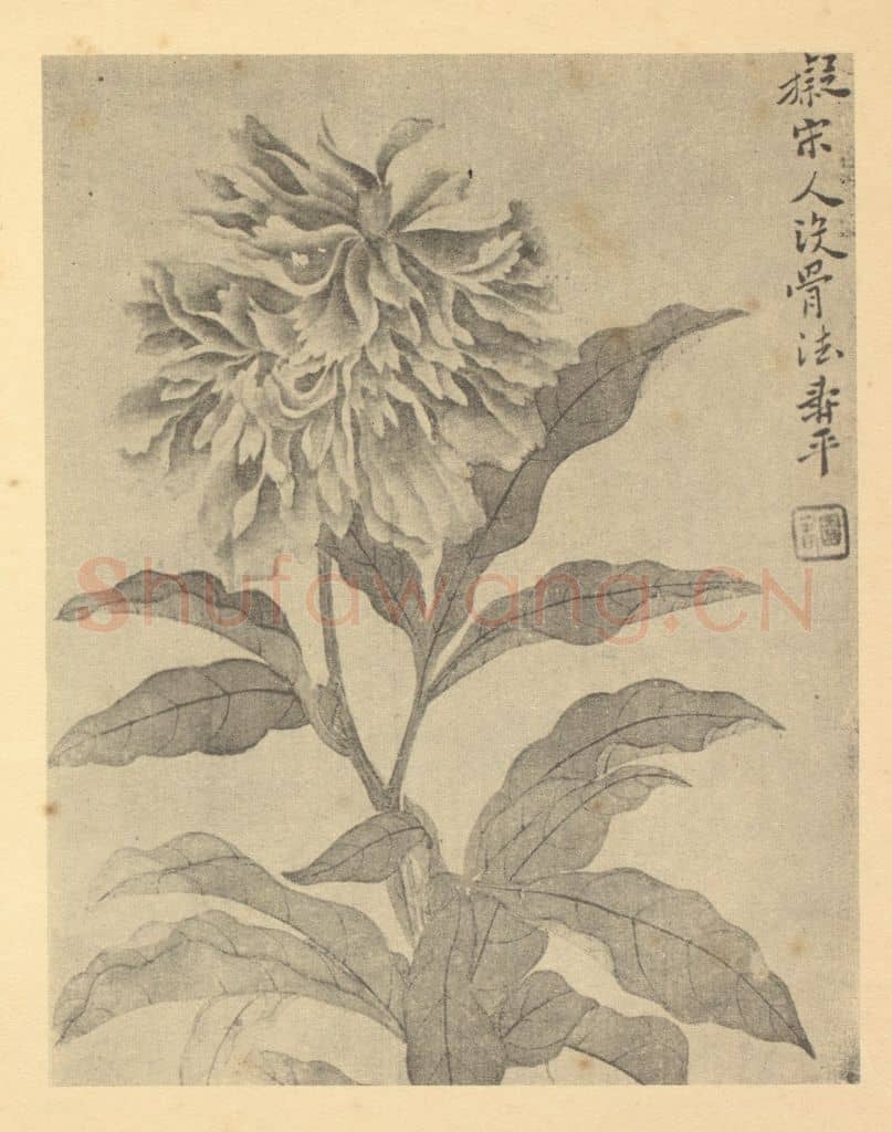 清 恽寿平《蔷薇》国画作品