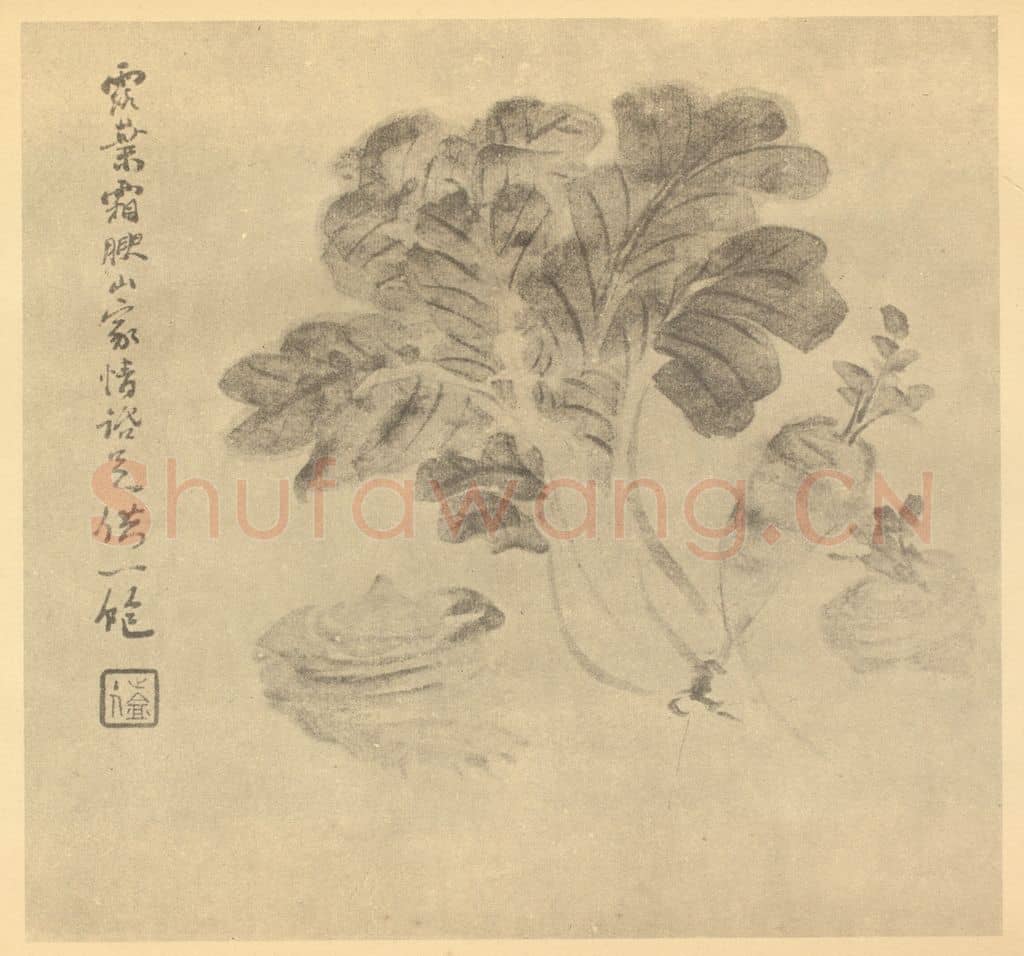 清 陈豪《蔬菜》国画作品