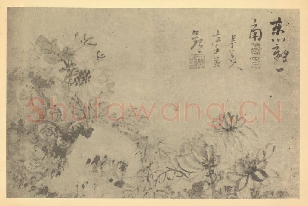 清 高凤翰《菊石》国画作品