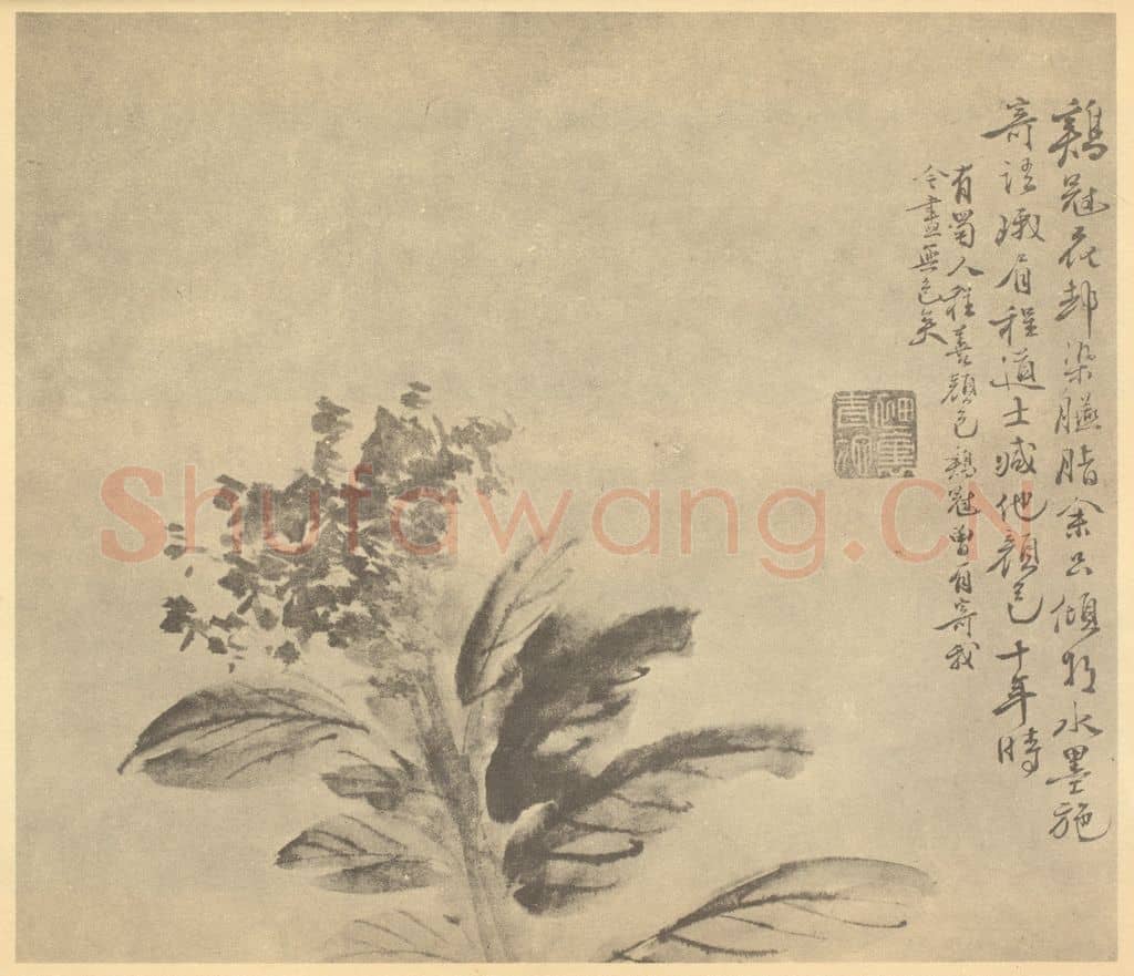 明 徐渭《鸡冠花》国画作品