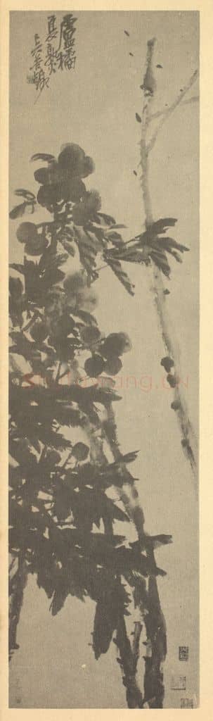 清 吴昌硕《卢橘》国画作品