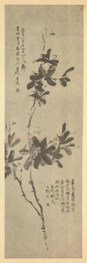 清 吴昌硕《桂花》国画作品