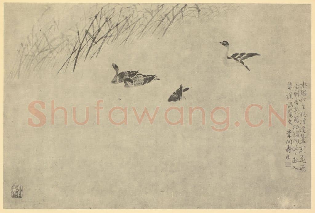 清 边寿民《芦雁图(八)》国画作品