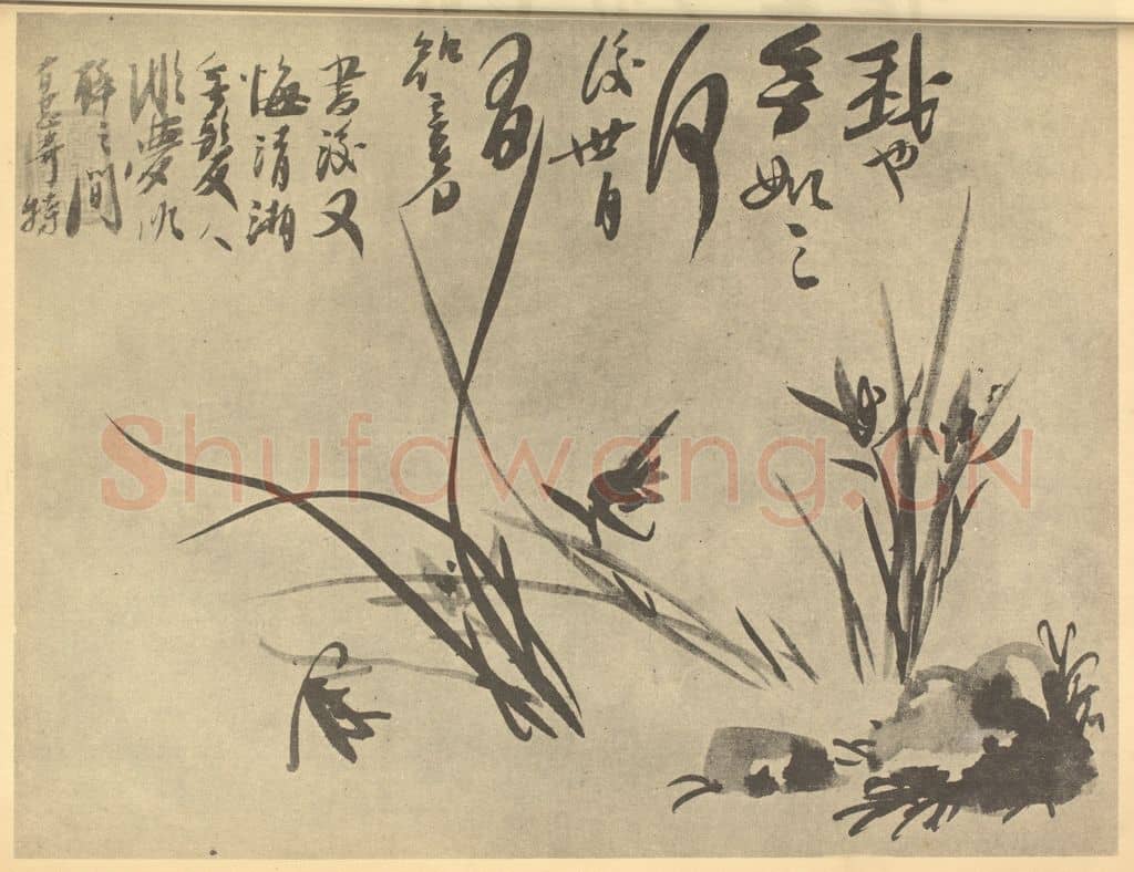 清 释道济《兰石》国画作品